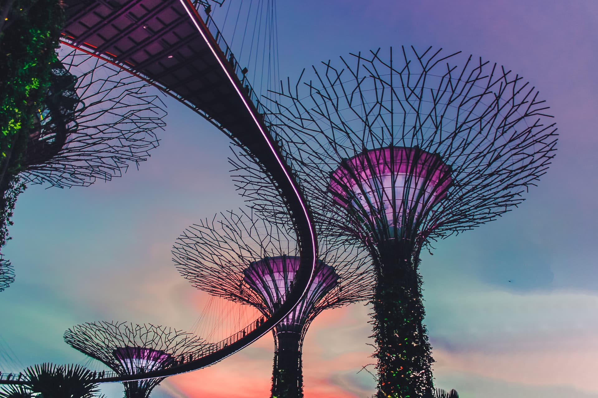 Singapore & Vietnam -photo - 9