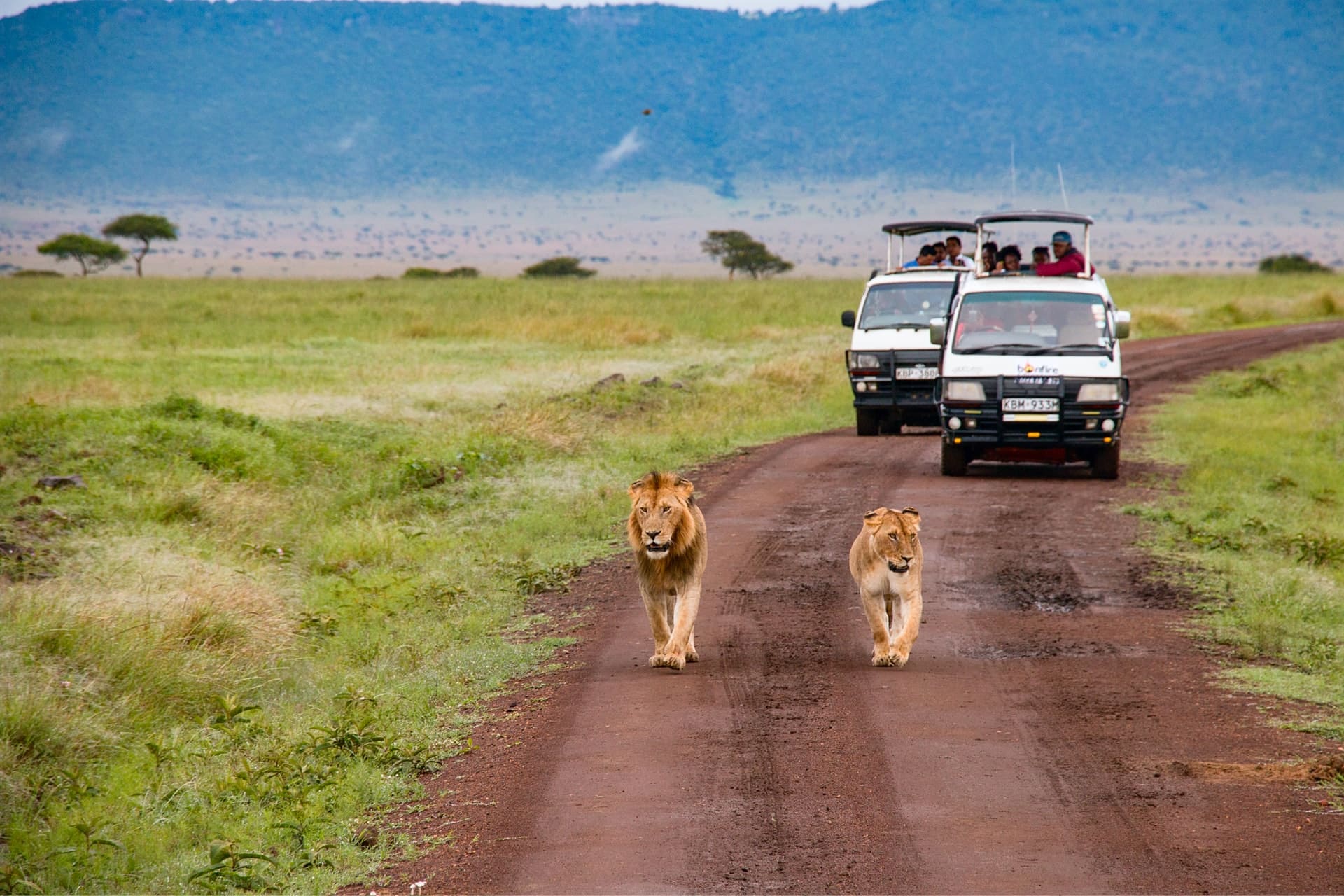 Kenya Safari Getaway – Nairobi, Amboseli & Maasai Mara -photo - 3