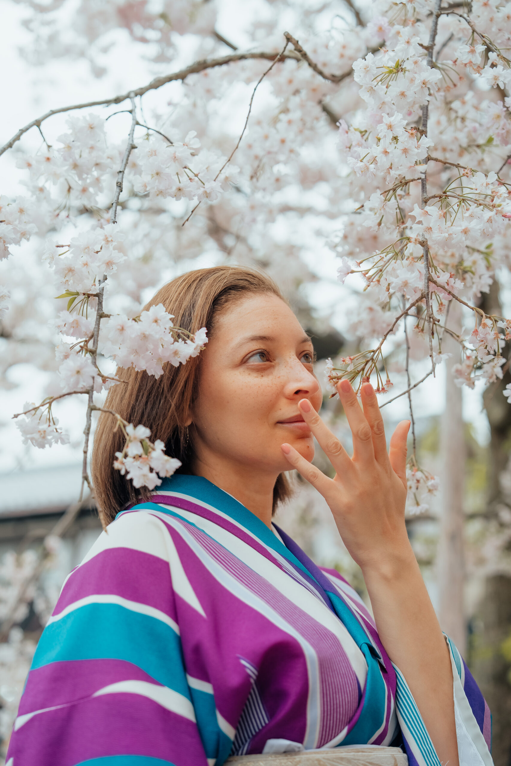 Japan Cherry Blossoms Getaway Special by Luxe Tribes photo 3