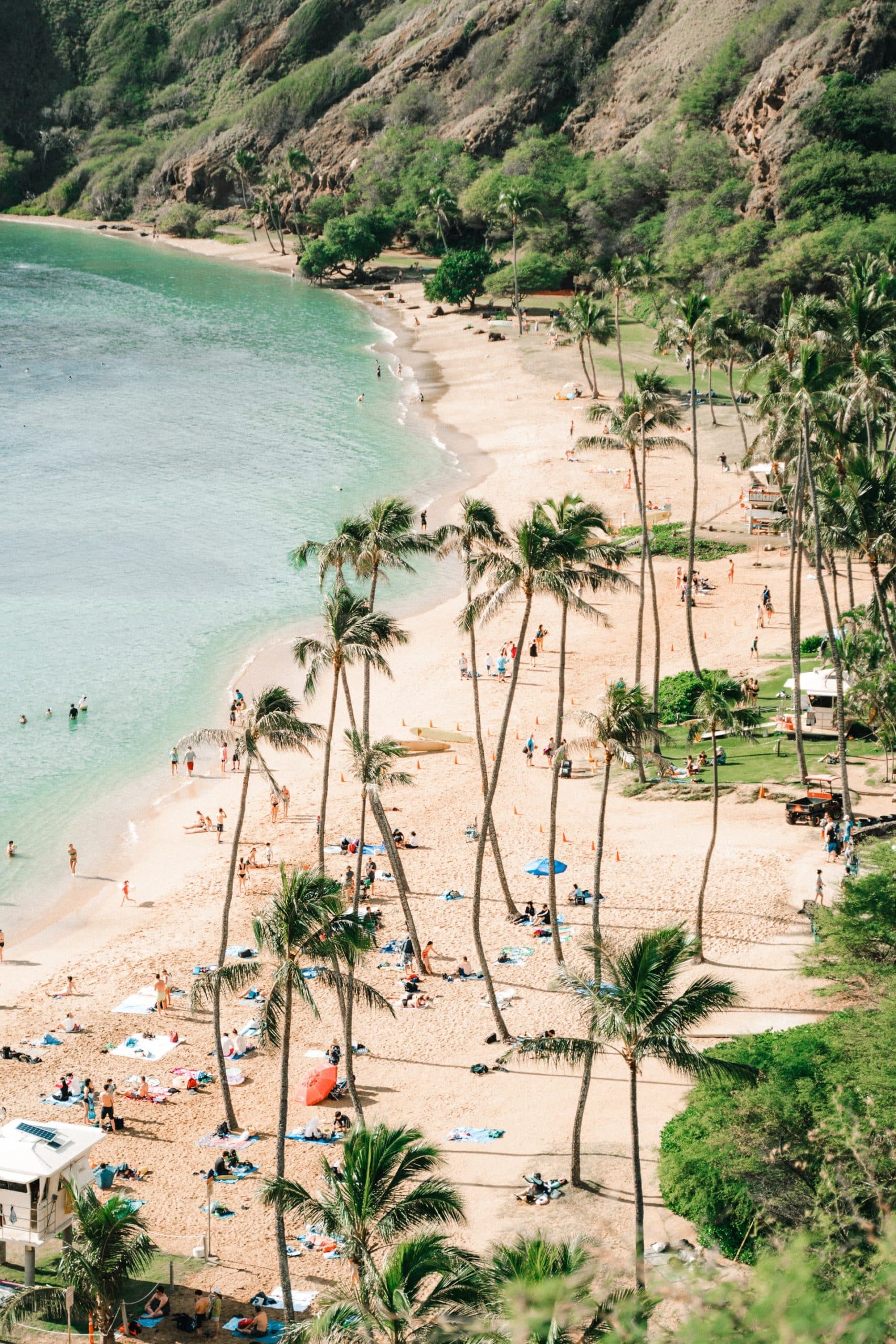 Hawaii Getaway Special -photo - 4