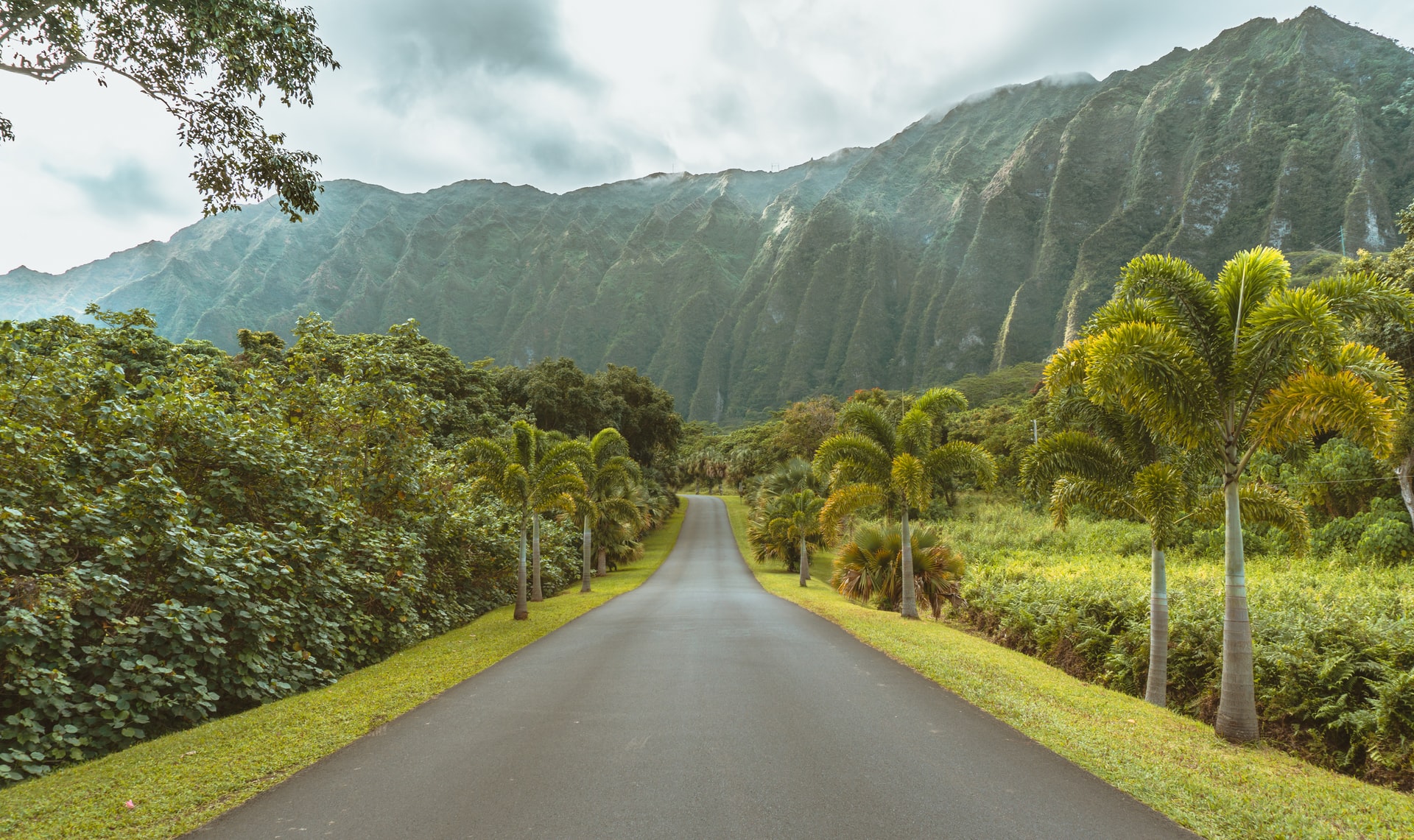 Beautiful Nature in Hawaii