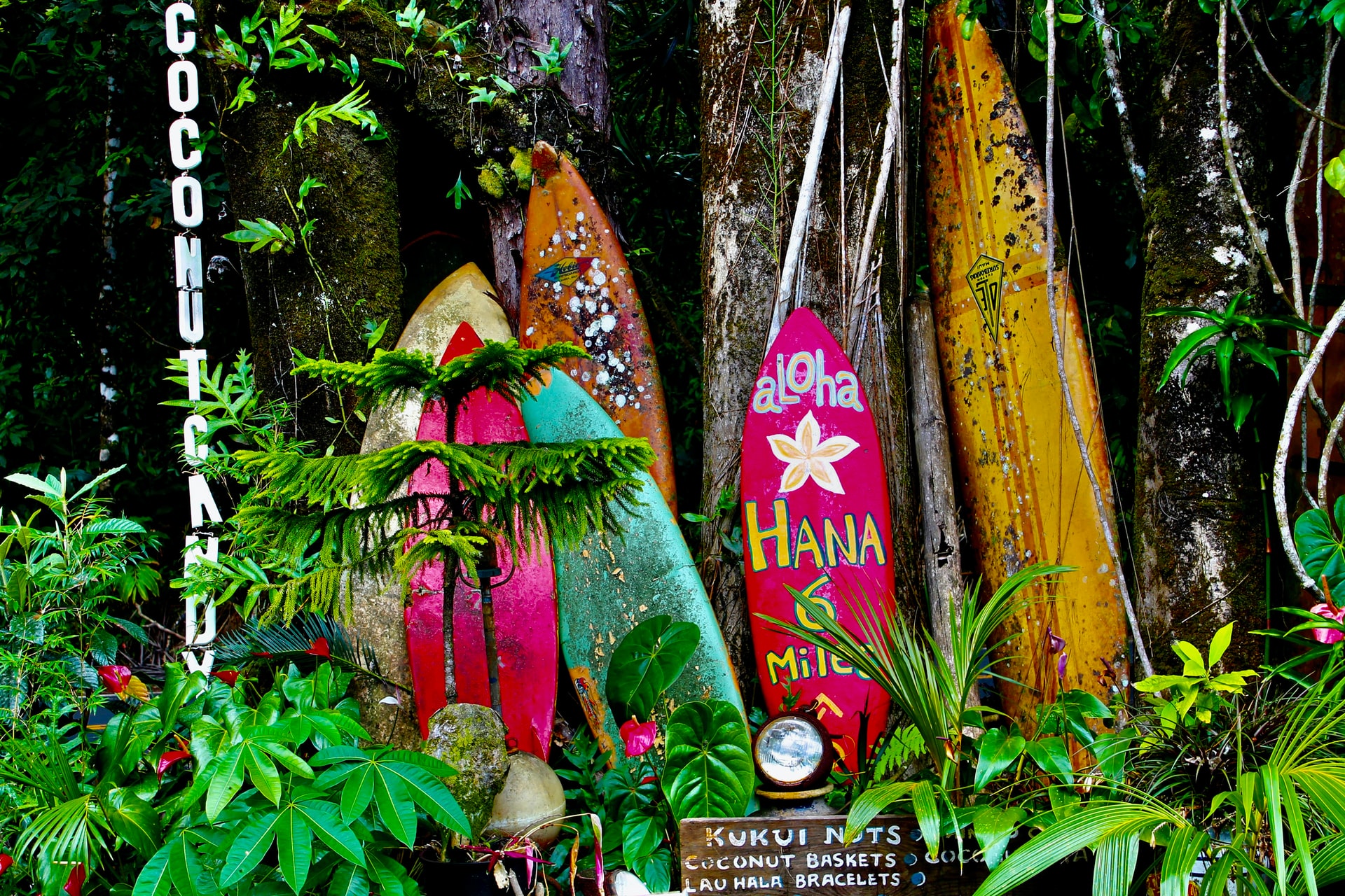 Hawaii Getaway Special -photo - 5