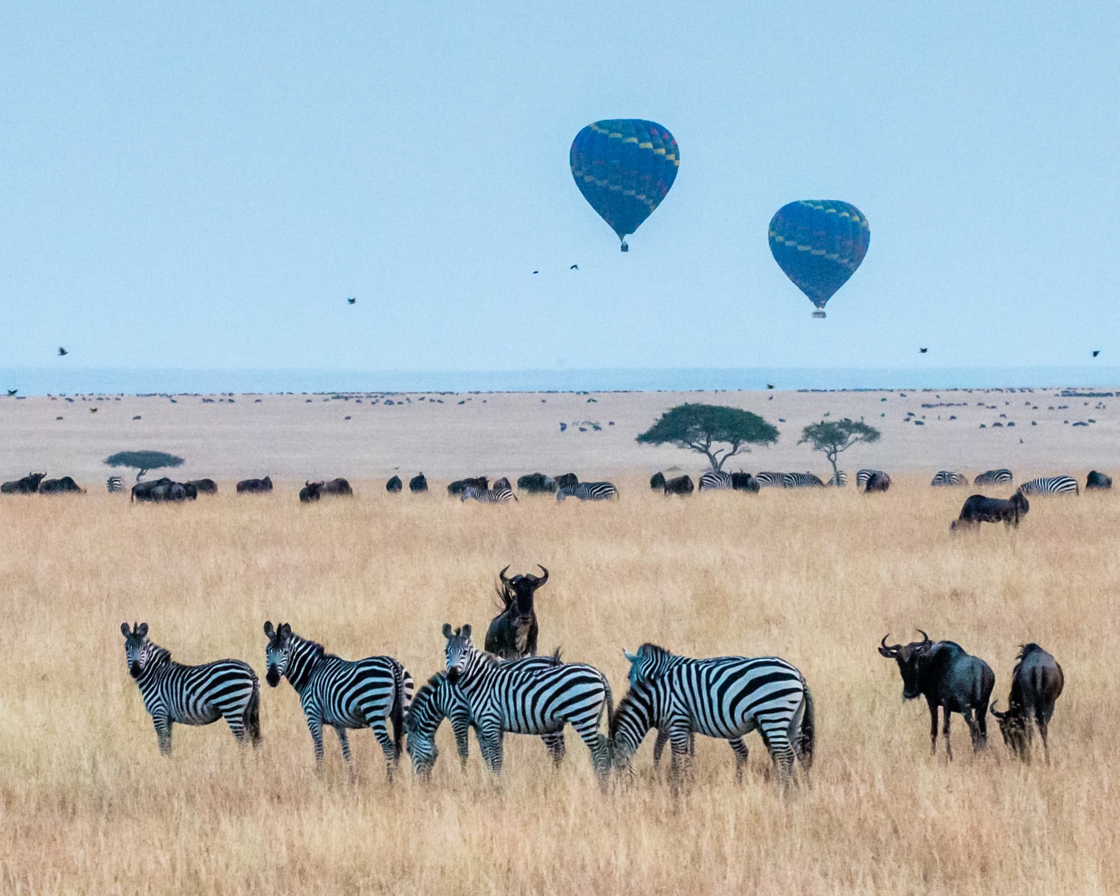 Kenya Safari & Beach Getaway Special - Luxe Tribes