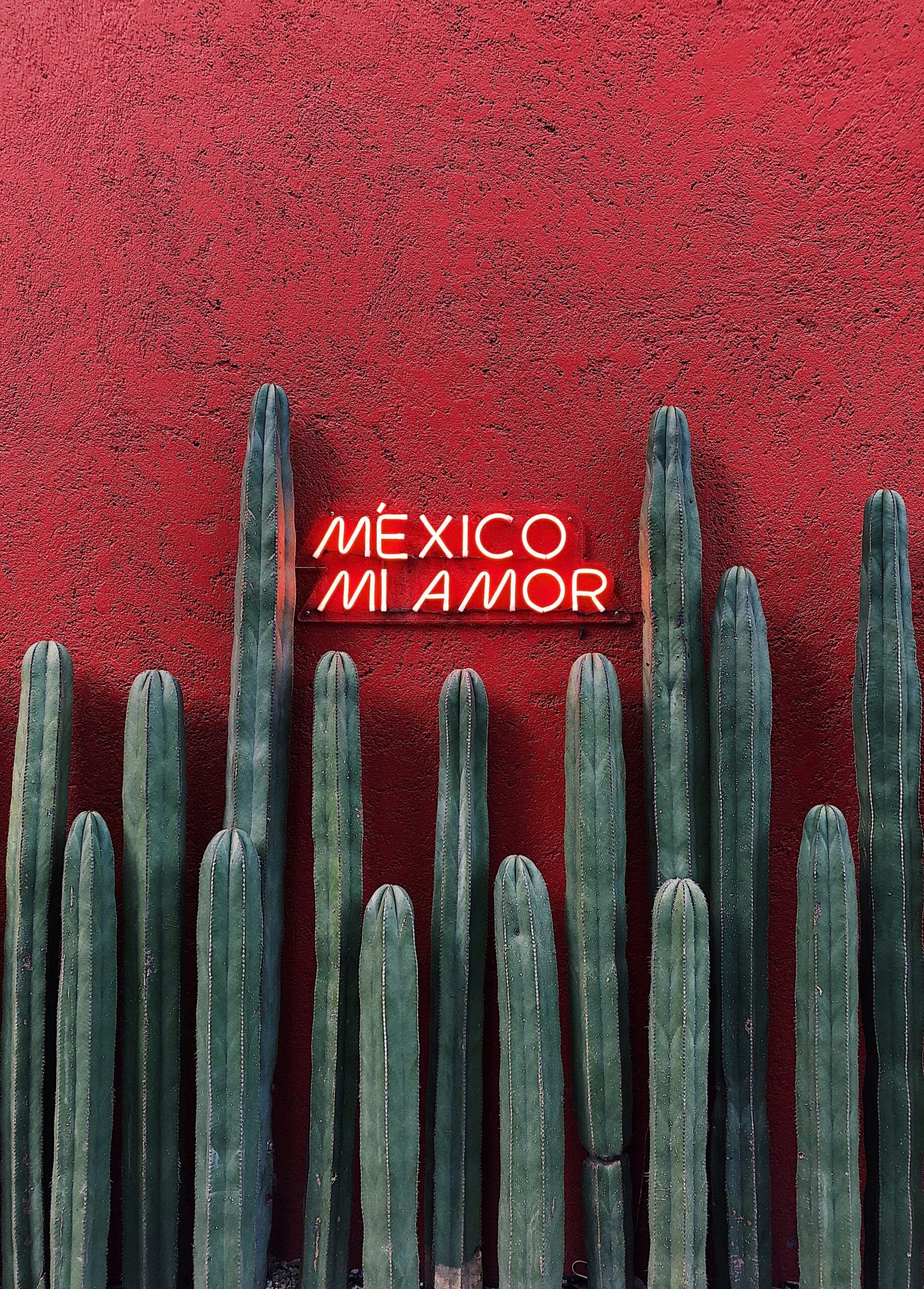 Mexico City Getaway Special -photo - 3