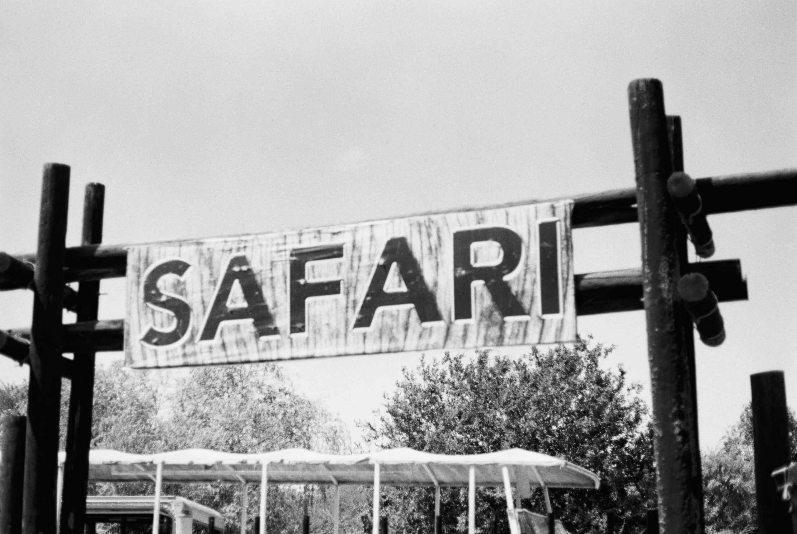Zanzibar Safari Getaway -photo - 13
