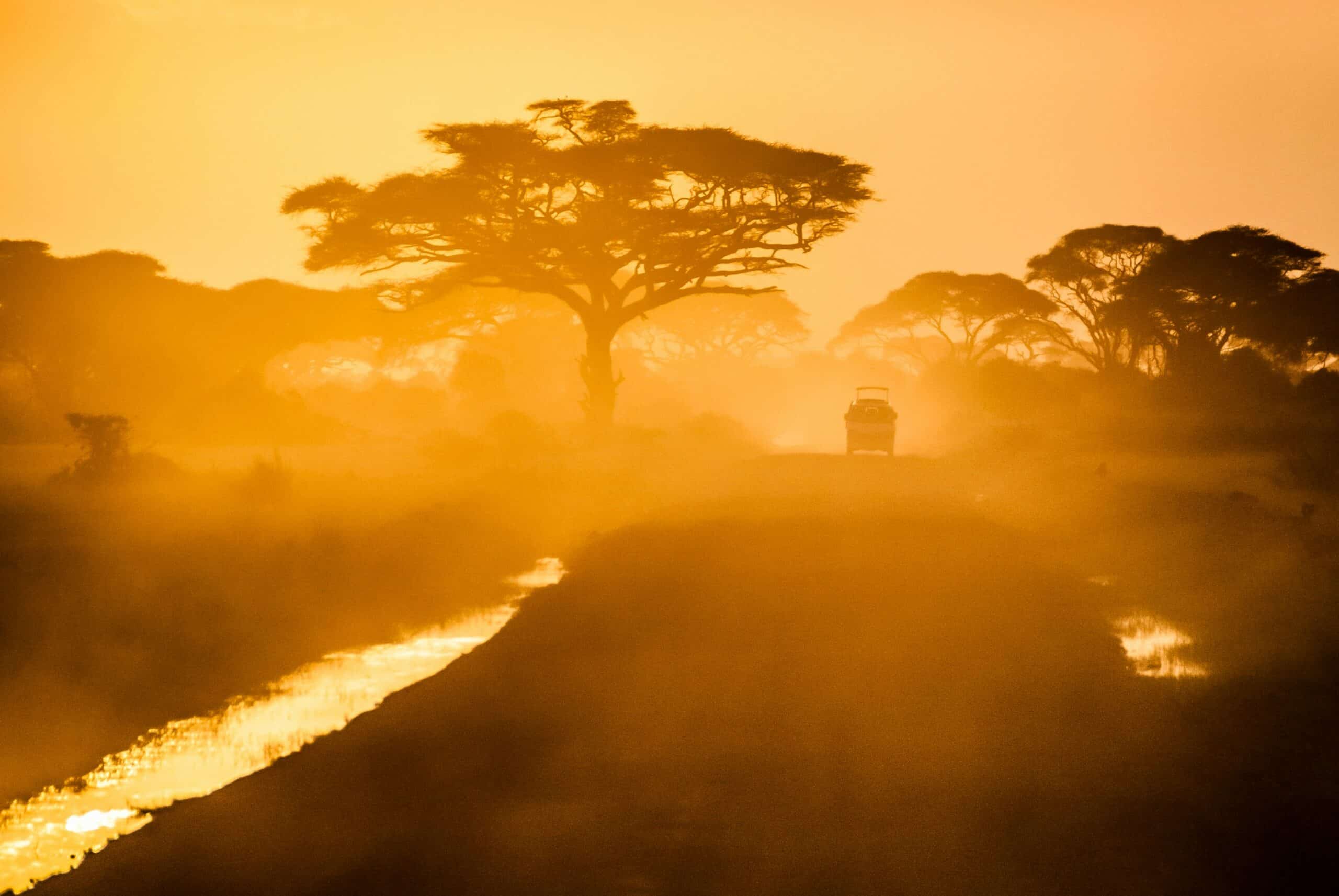 Zanzibar Safari Getaway -photo - 3