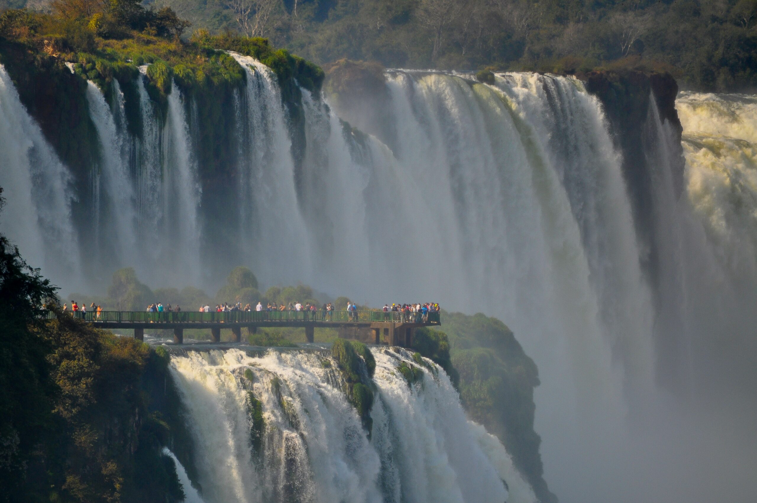 Lush of Brazil -photo - 2