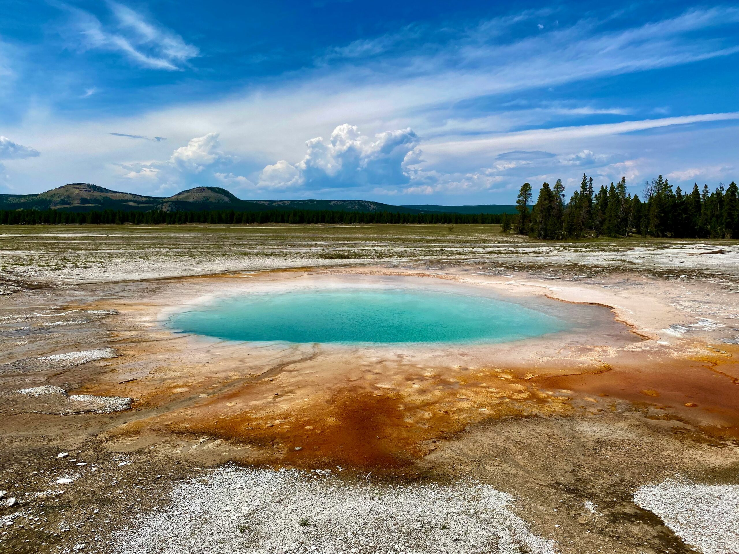 Yellowstone Escape: Wild and Free Edition, USA -photo - 8