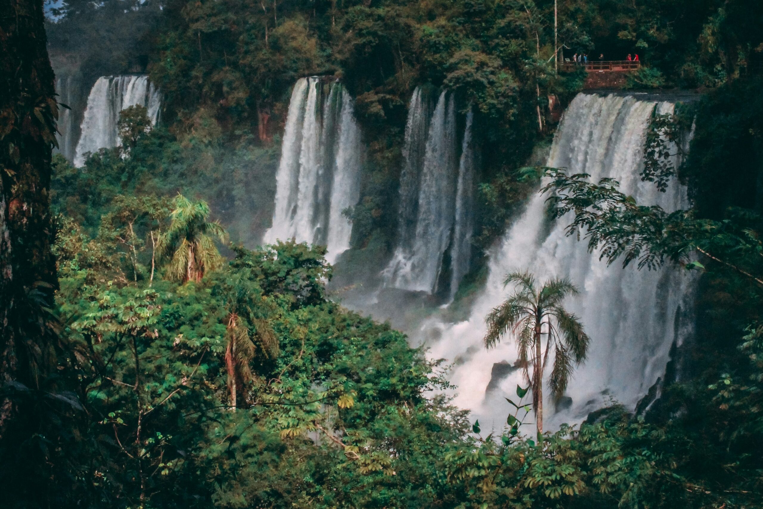 Lush of Brazil -photo - 6