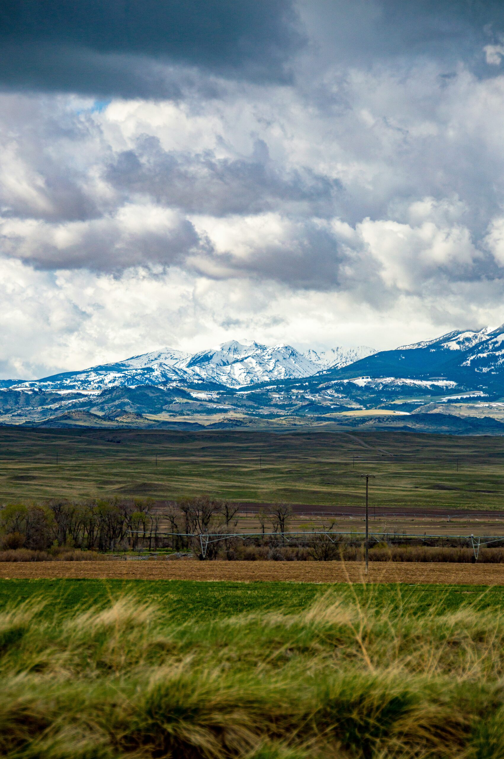 Yellowstone Escape: Wild and Free Edition, USA -photo - 1