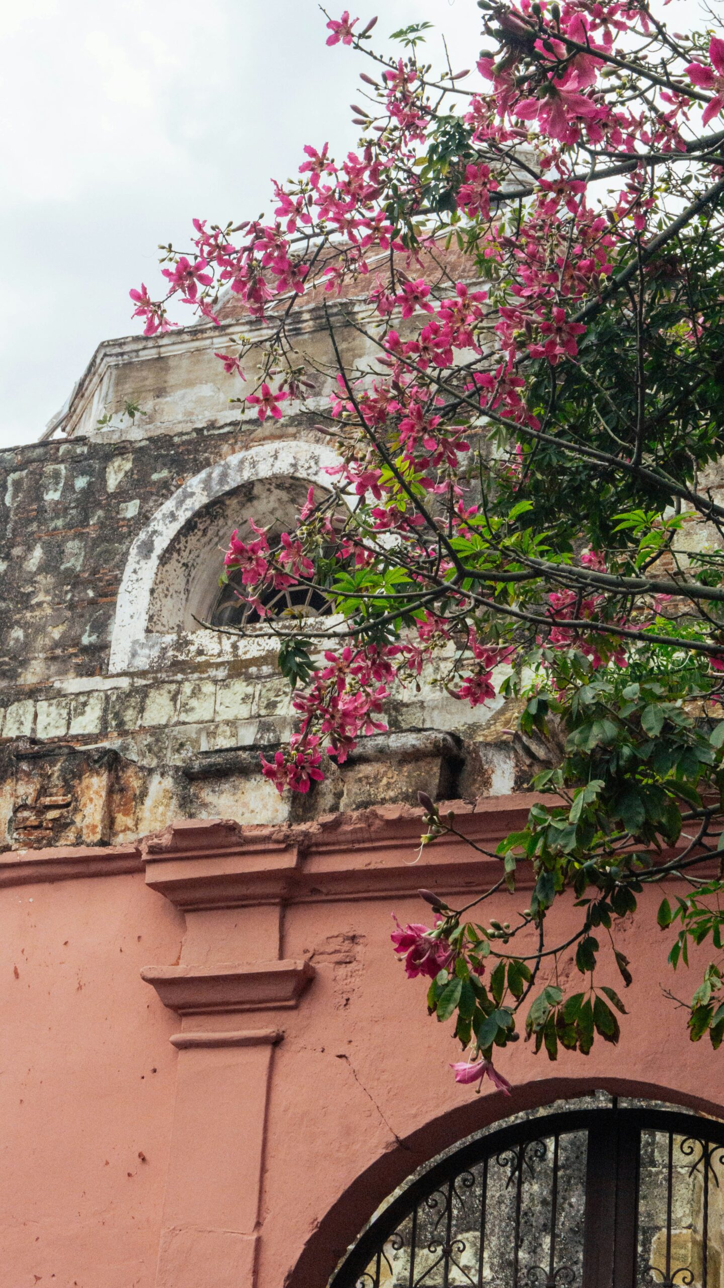 Cultural and Historical Tour of Oaxaca -photo - 11