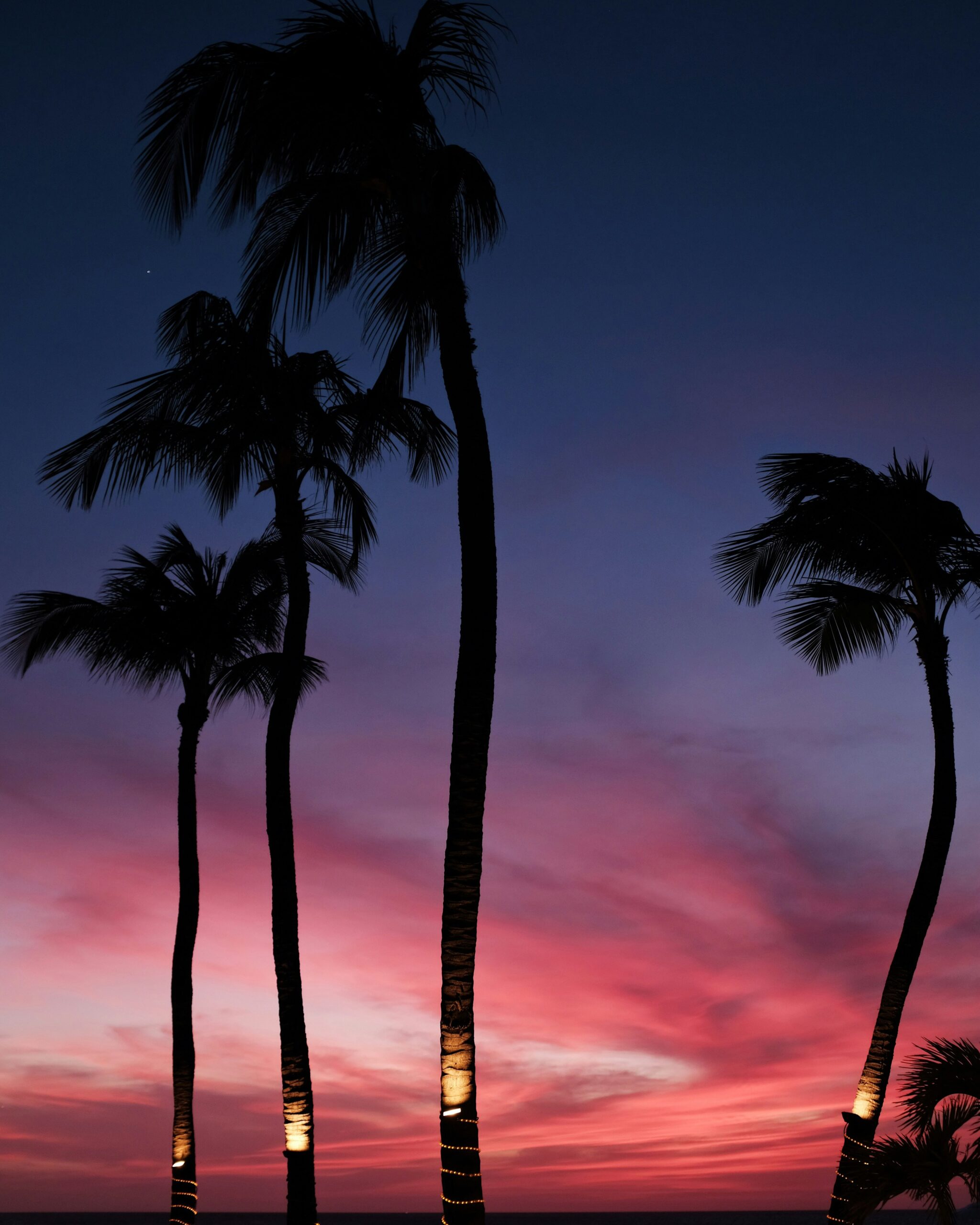 Sandy Toes, Birthday Vibes: Aruba Edition -photo - 11