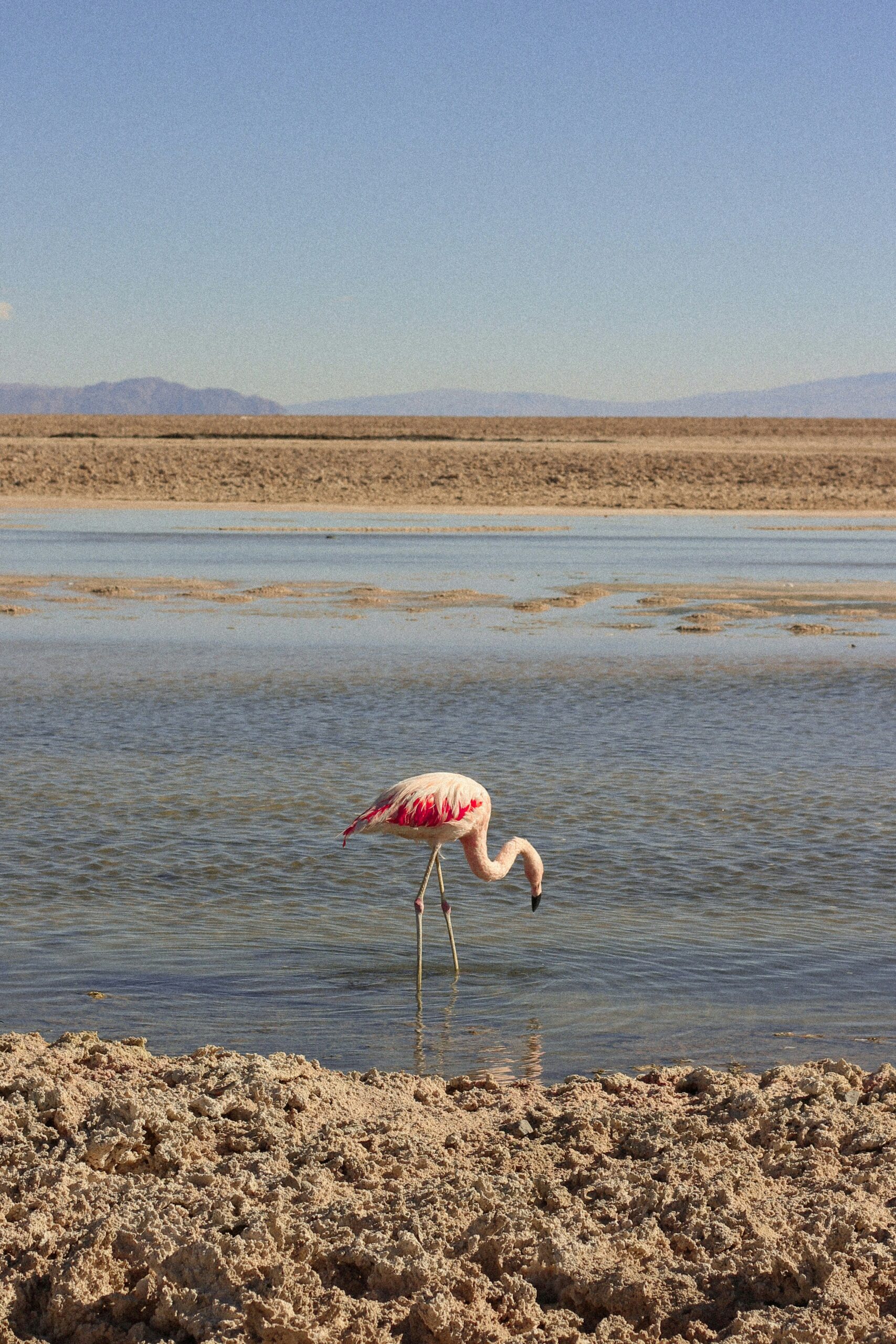 Atacama Special Adventure -photo - 6