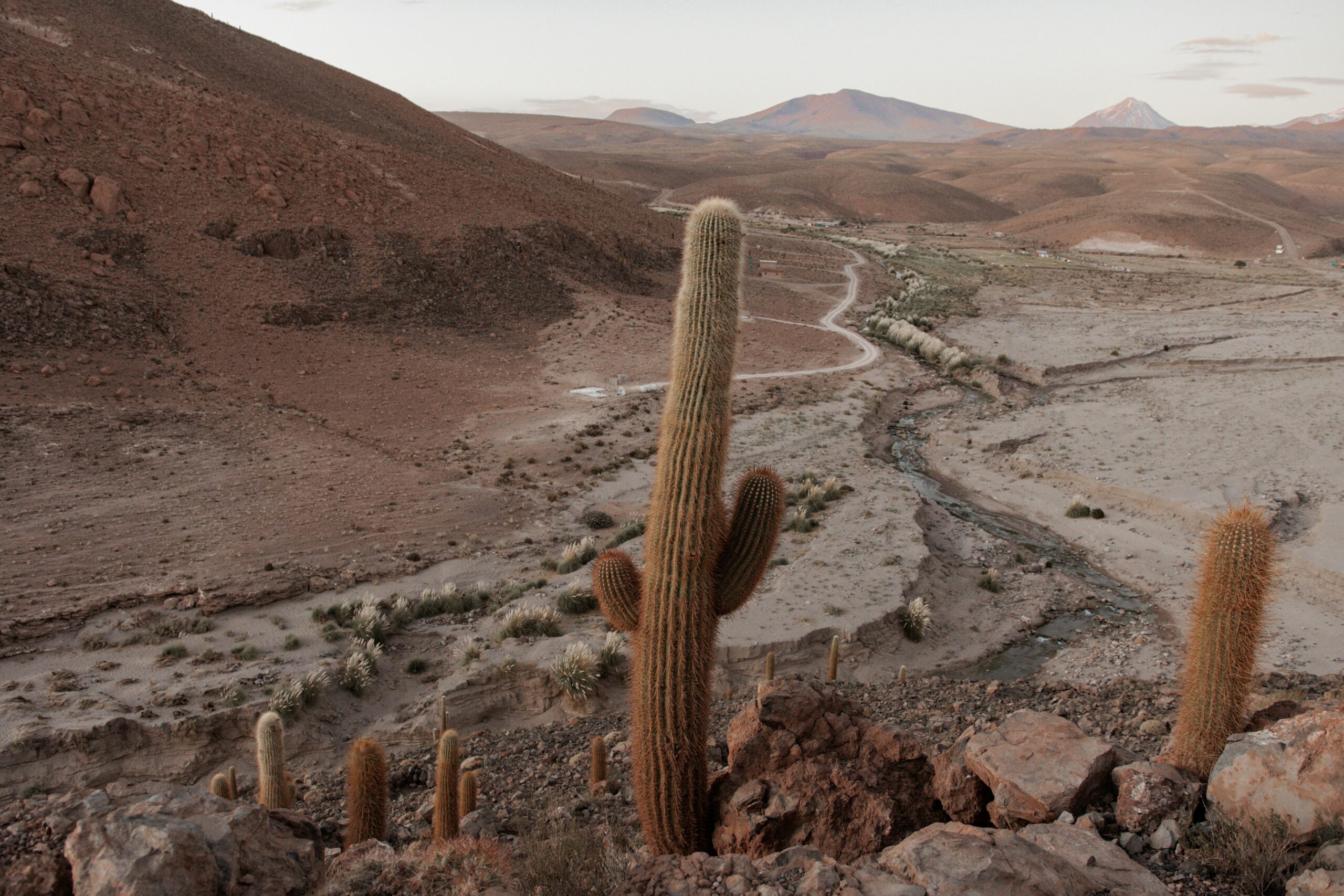 Atacama Special Adventure -photo - 9