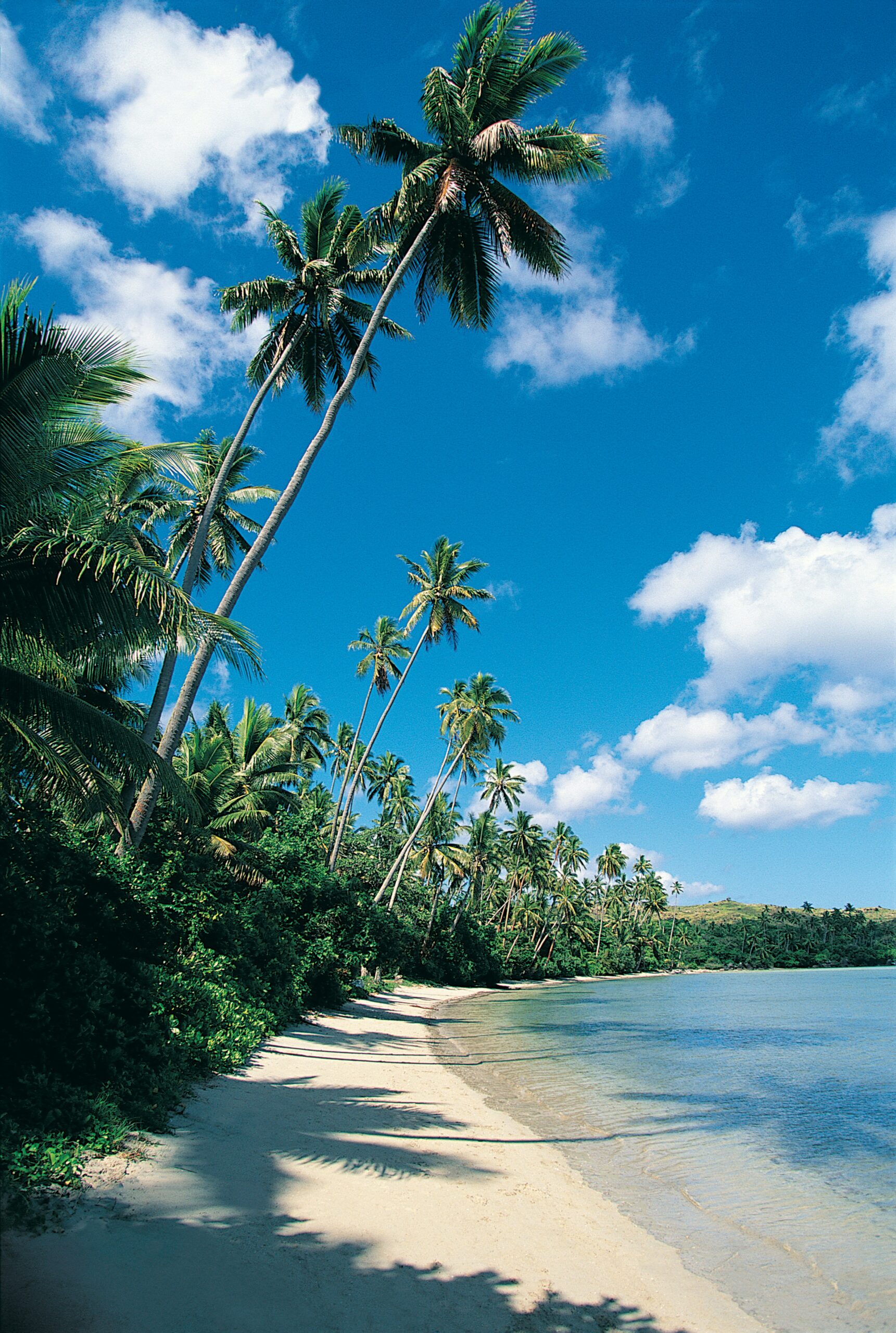 Island Serenity: Fiji’s Ultimate Getaway -photo - 3