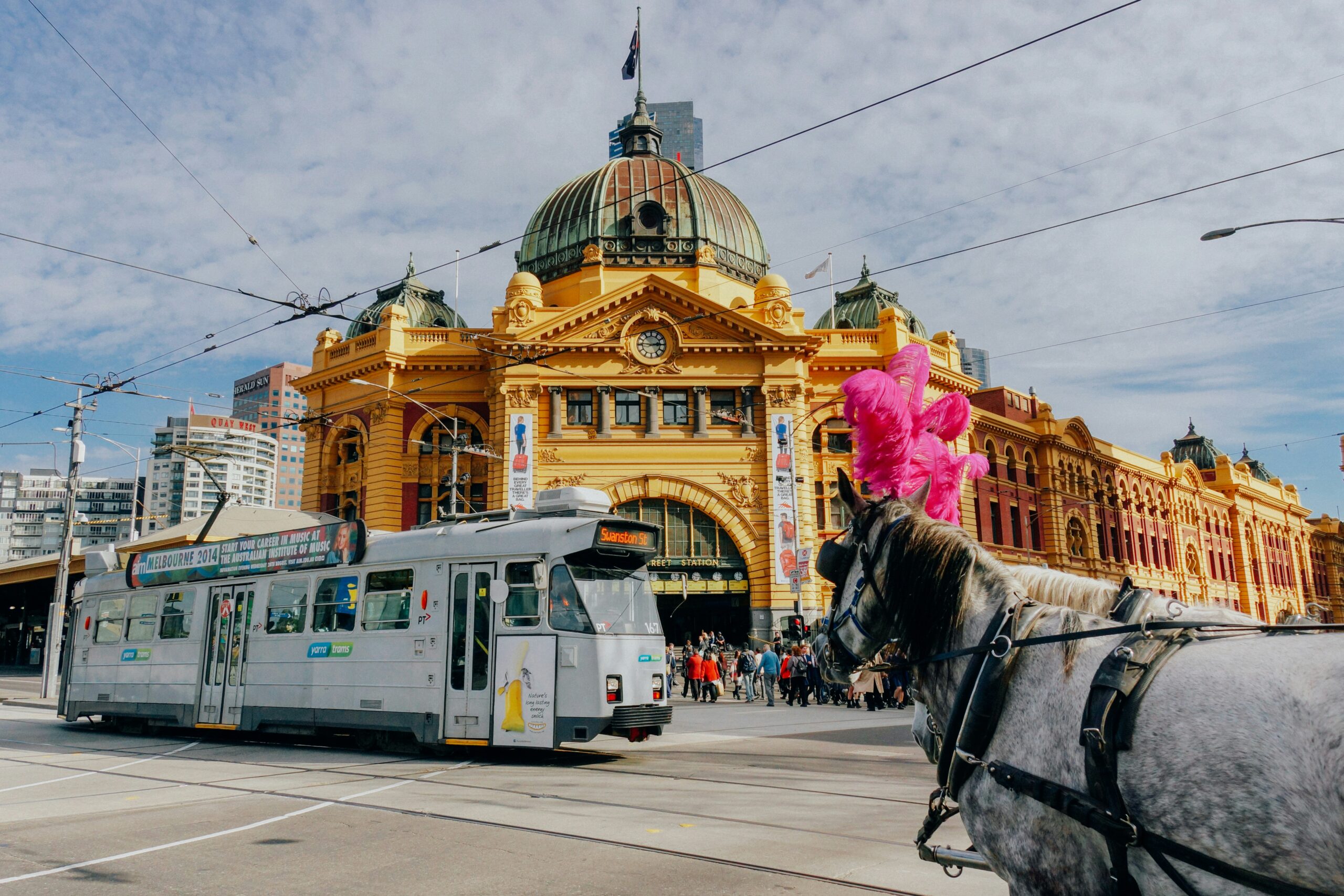 Pacific Explorer: Sydney & New Zealand Journey -photo - 17