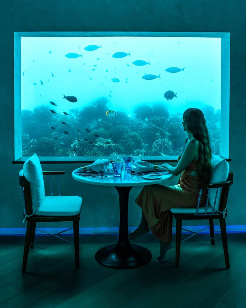 Dubai and Maldives 2026 -photo - 11