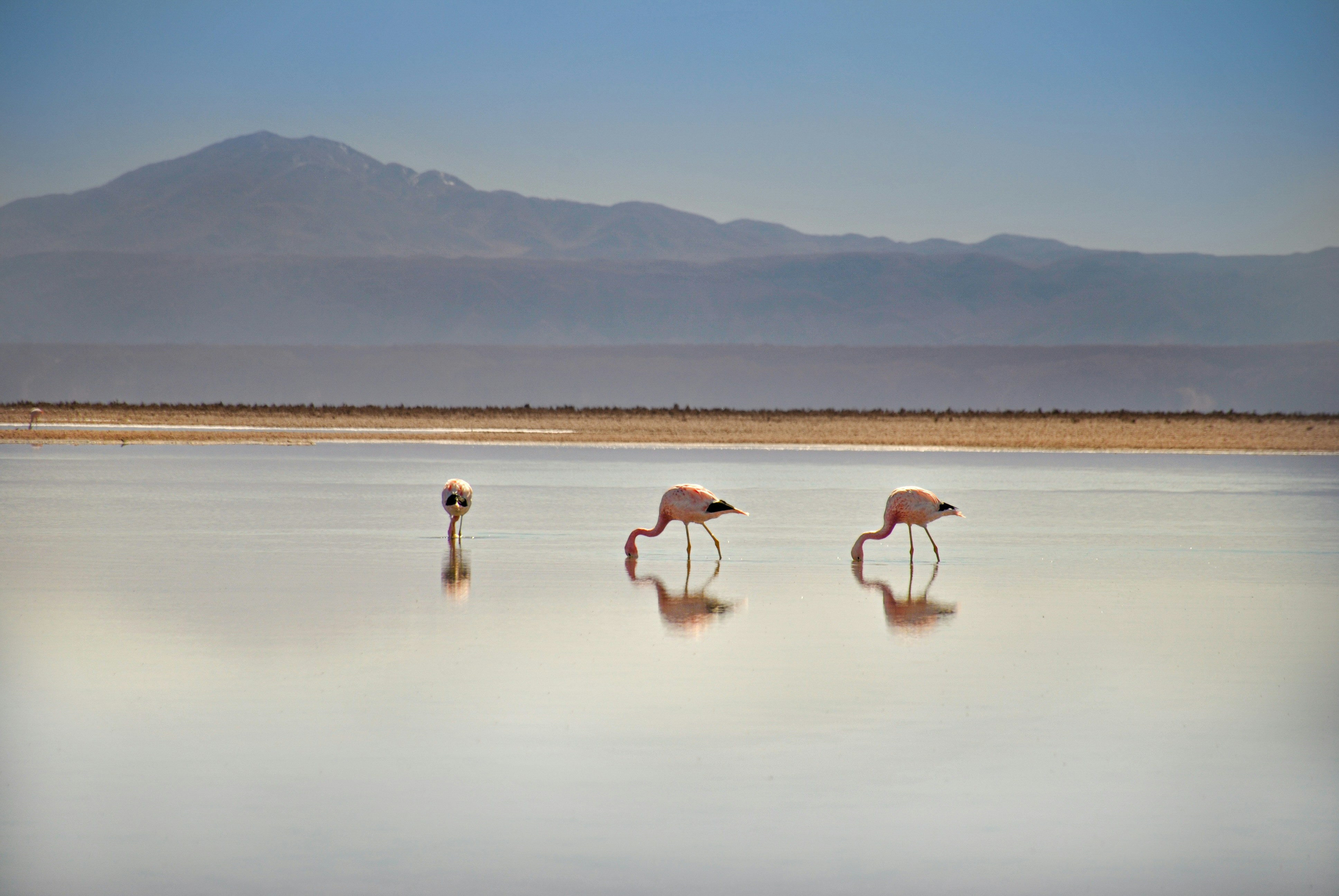 Atacama Luxury Wellness Retreat -photo - 5