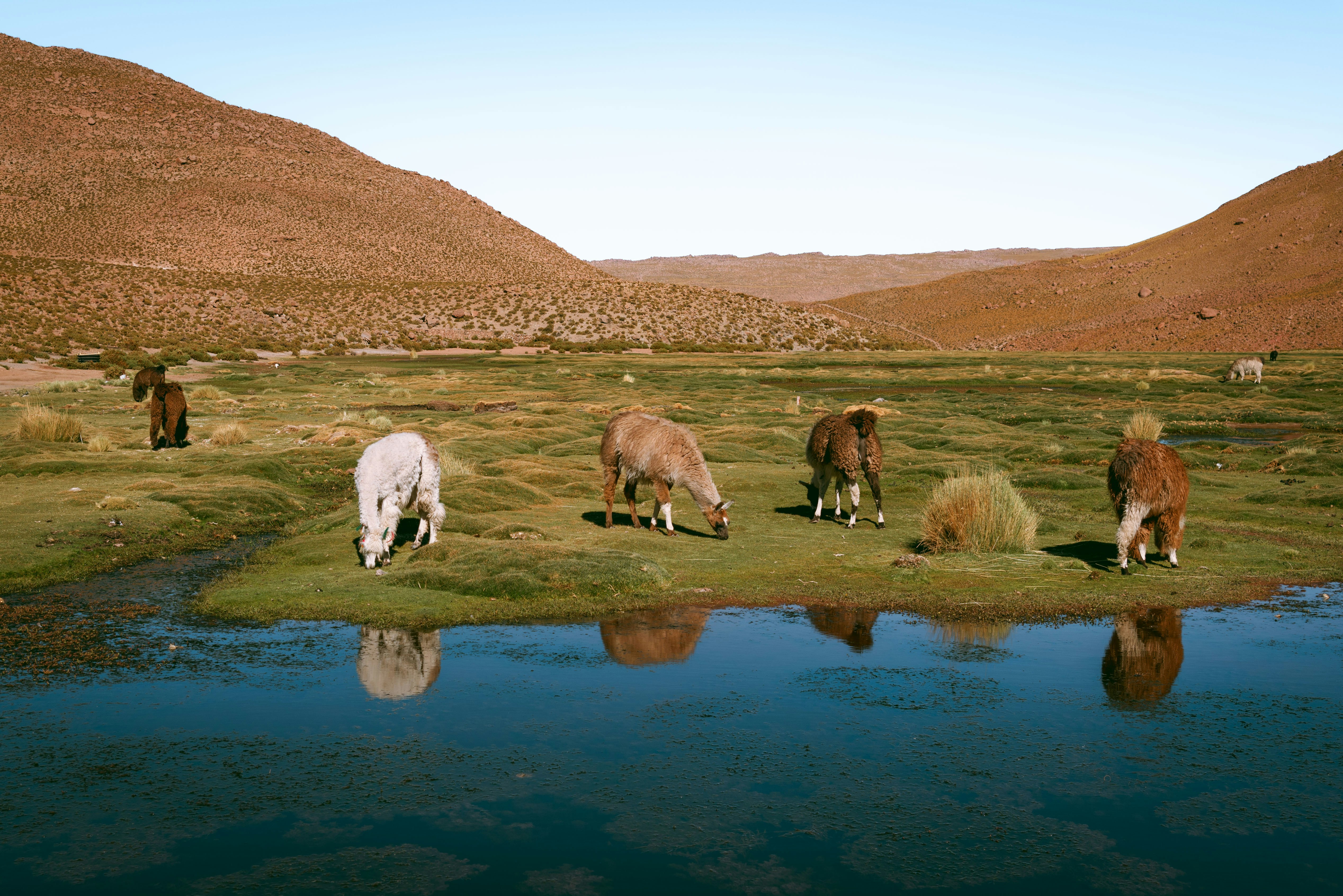 Atacama Luxury Wellness Retreat -photo - 7