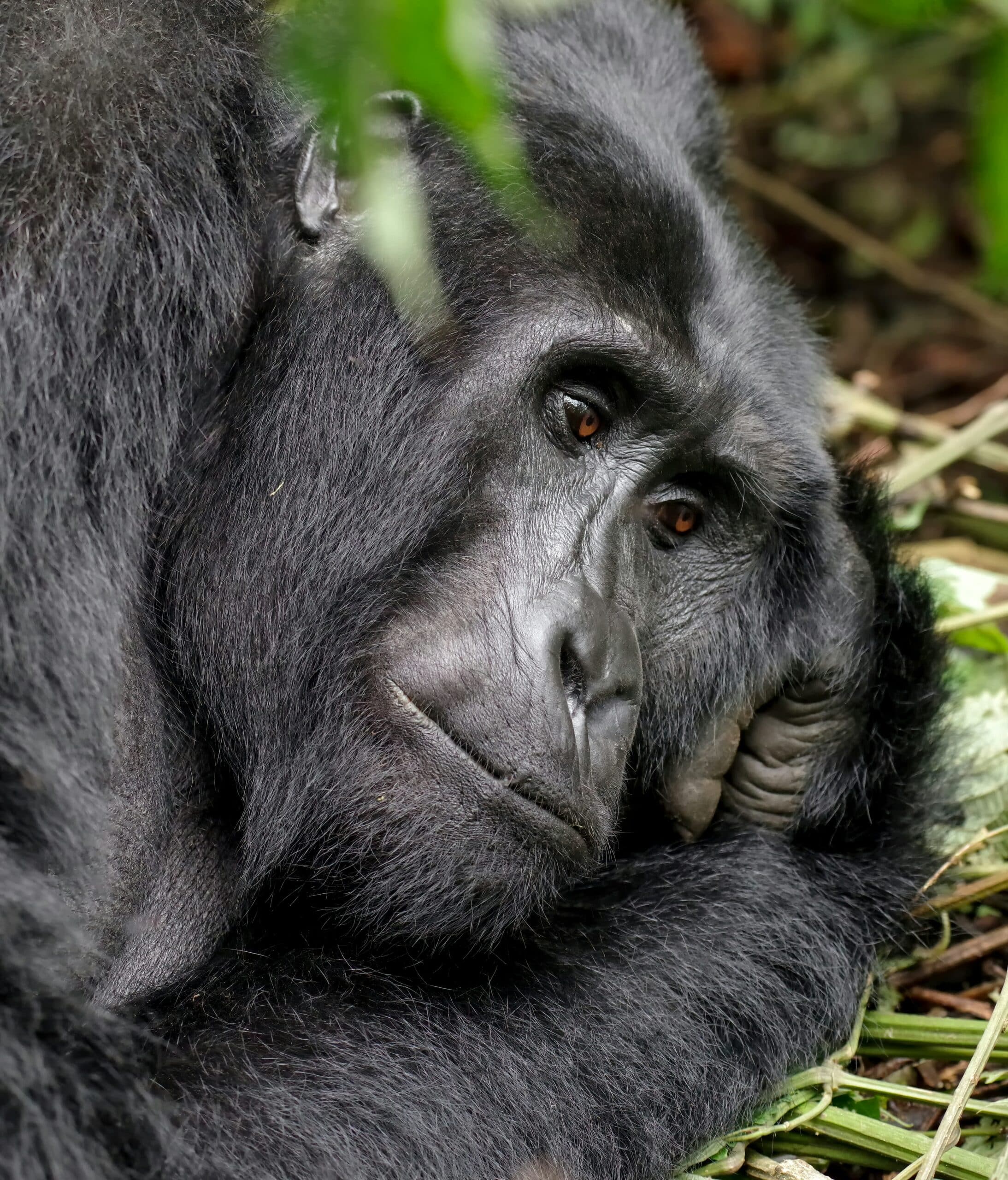 Rwanda -photo - 9