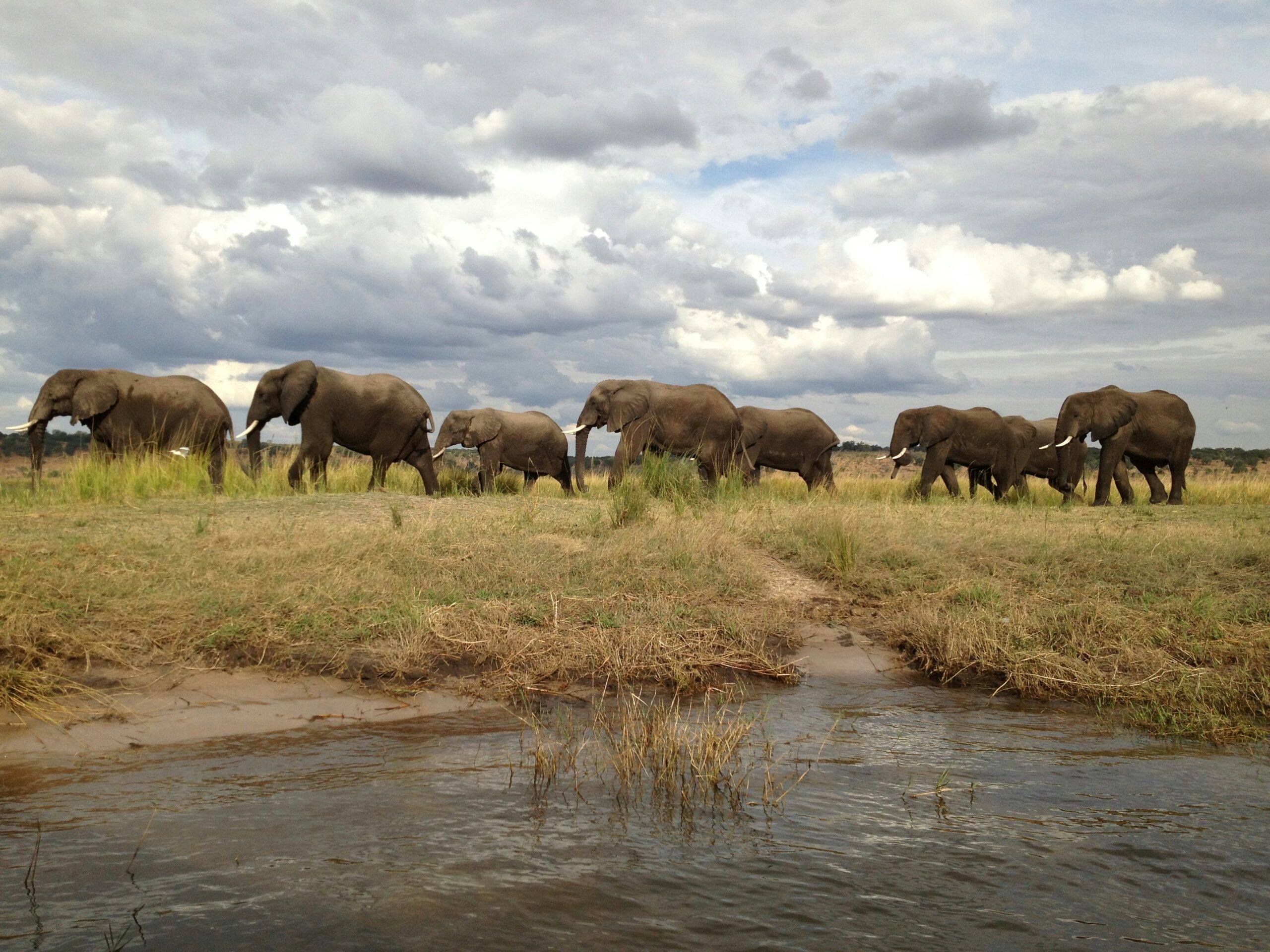 Botswana -photo - 1