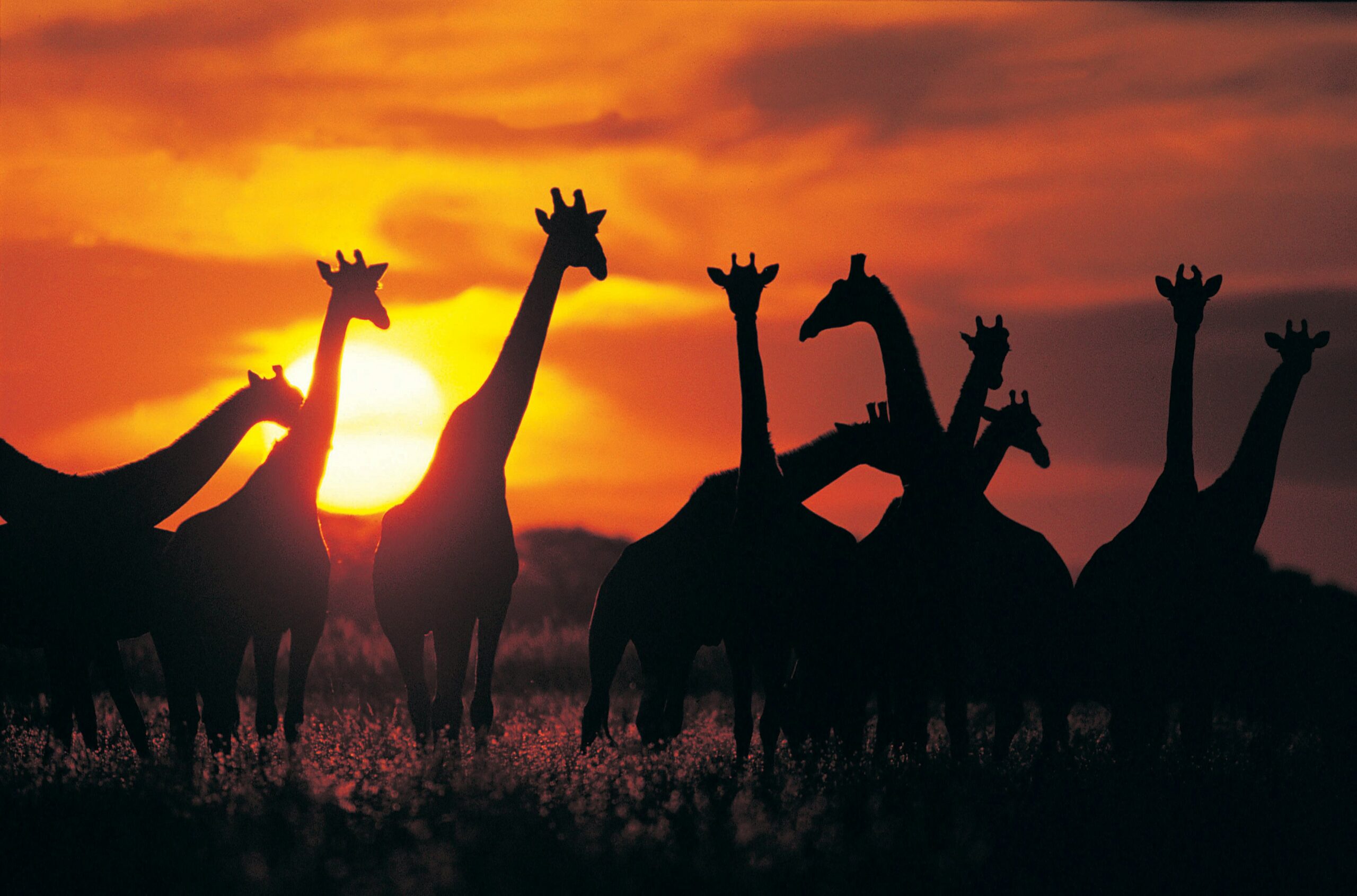 Botswana -photo - 2