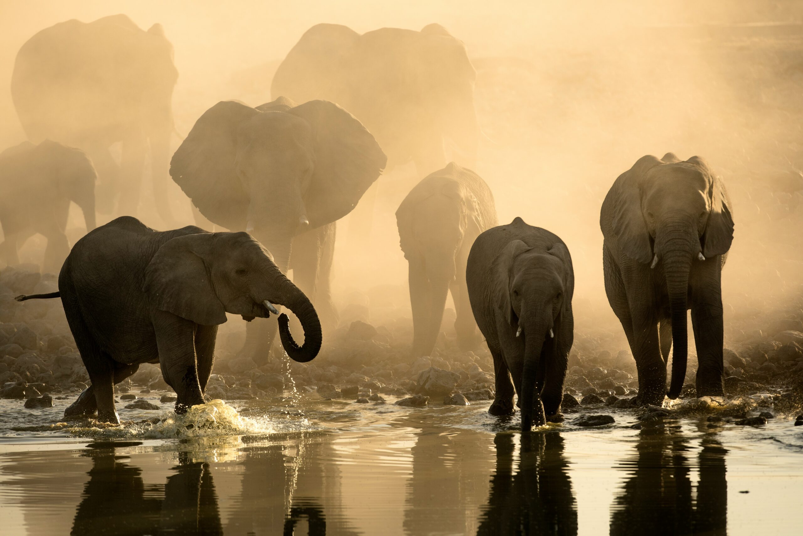 Botswana -photo - 8