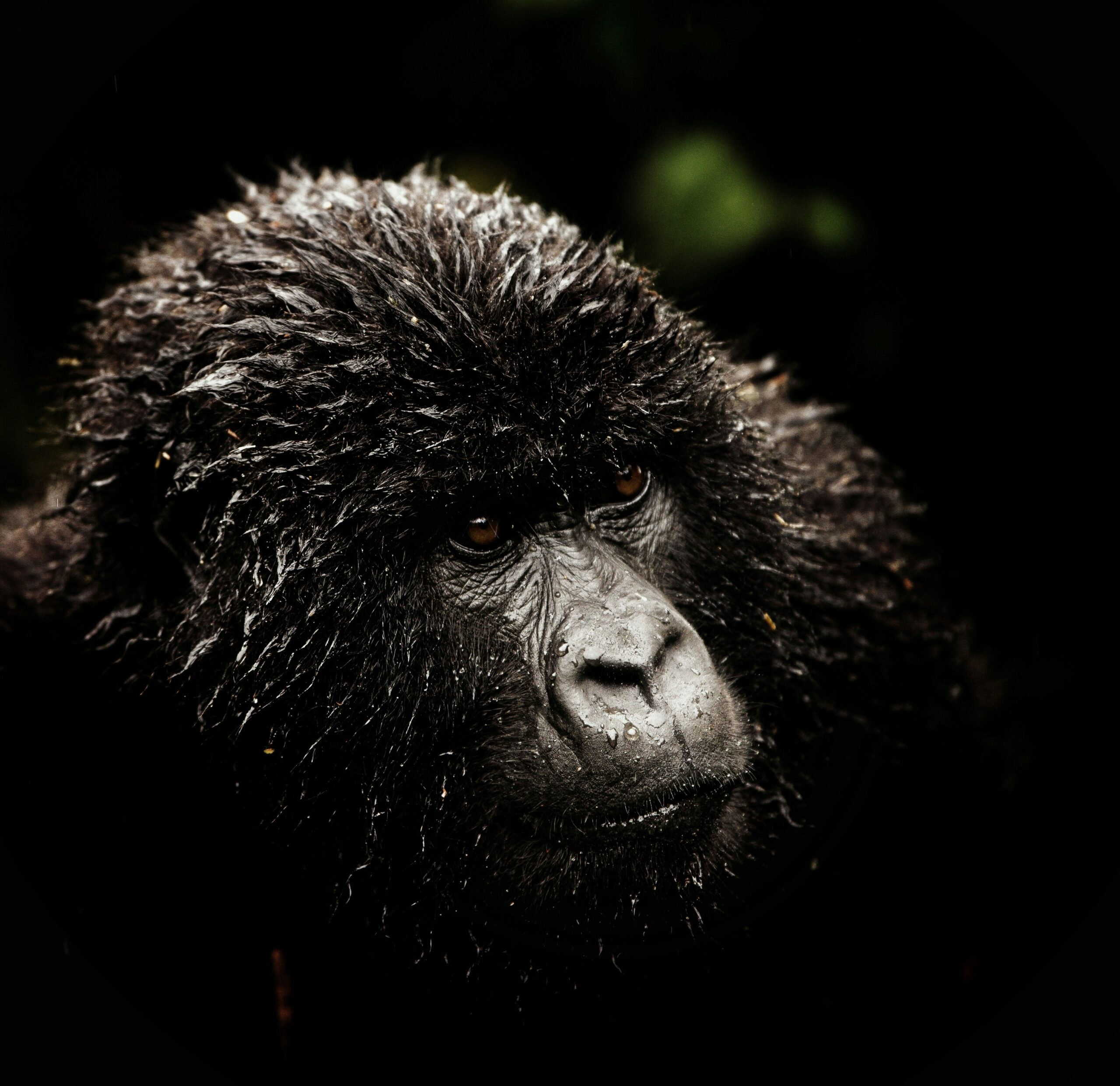 Rwanda -photo - 10