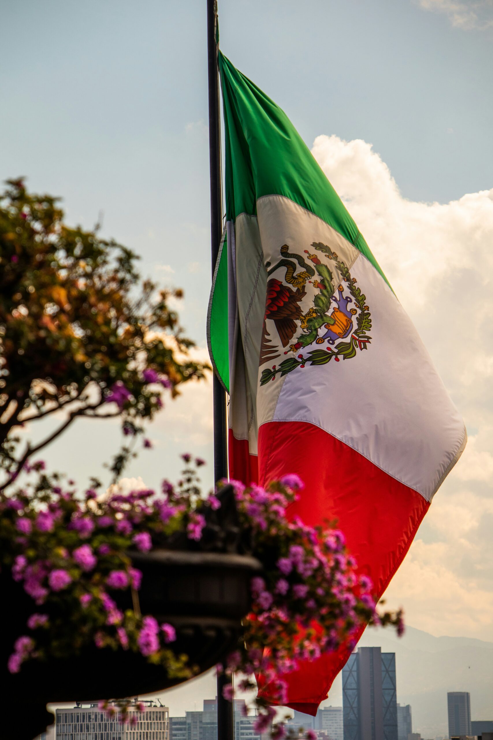 Hola Mexico City🇲🇽 by Luxe Tribes photo 3