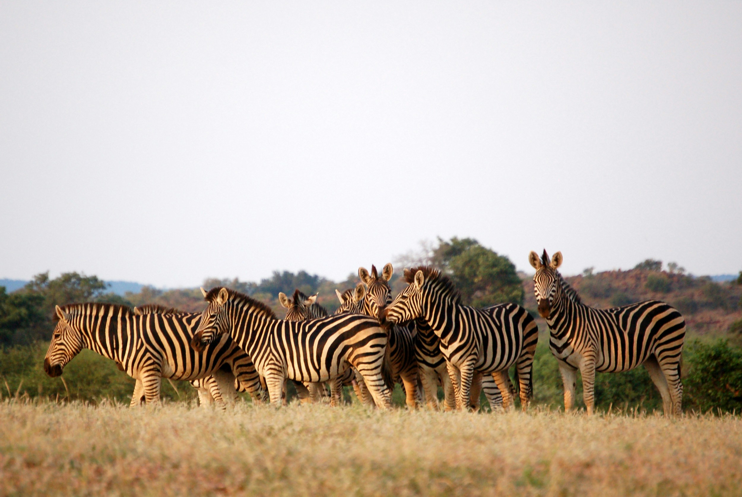 Botswana -photo - 4
