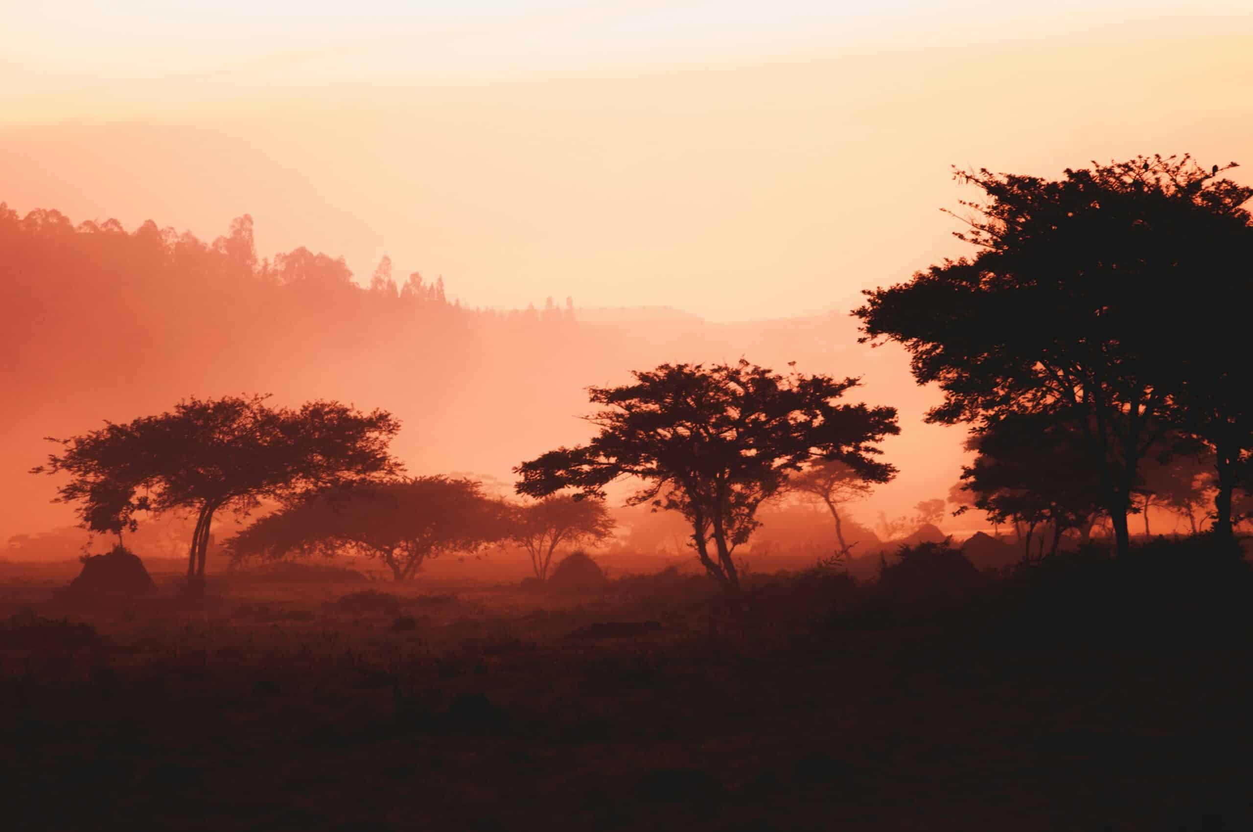 Rwanda -photo - 7