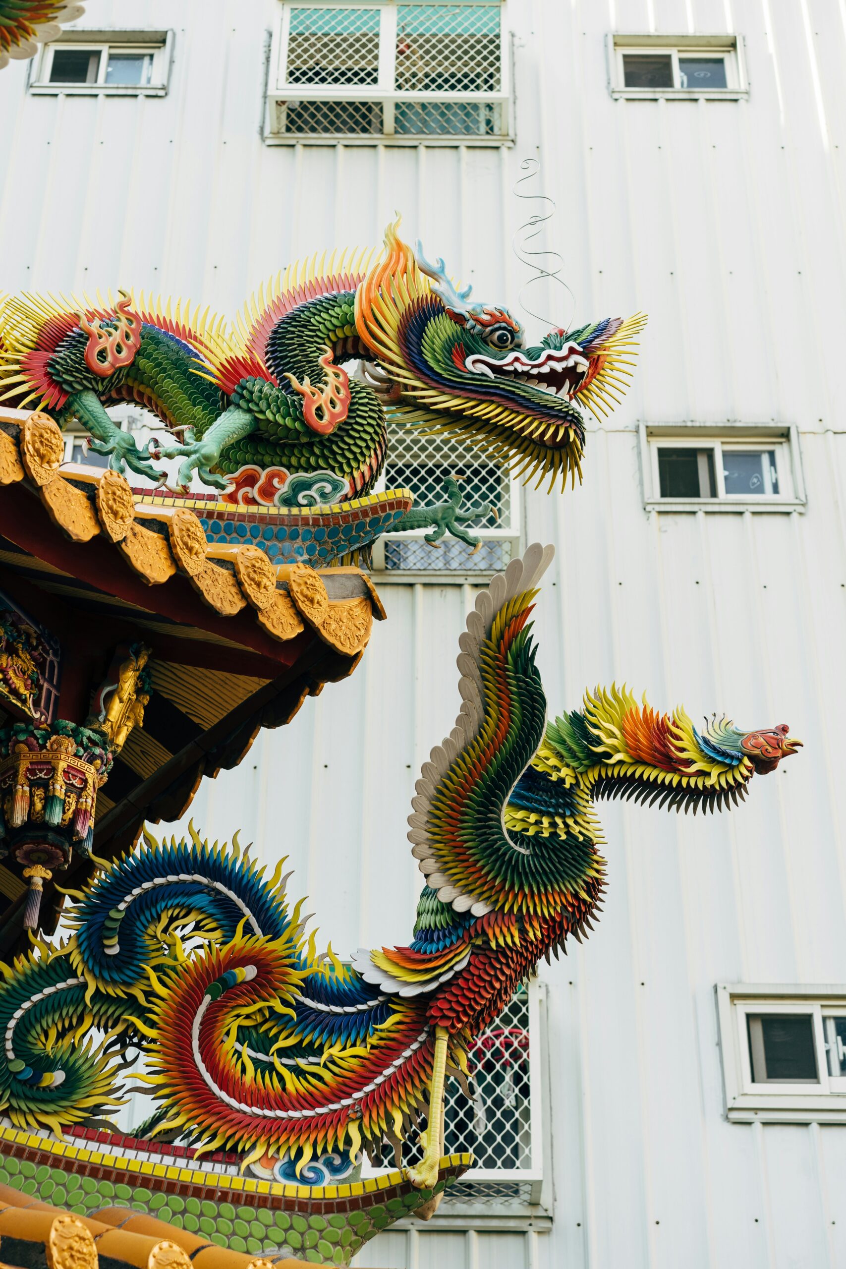Hong Kong & Taiwan -photo - 5