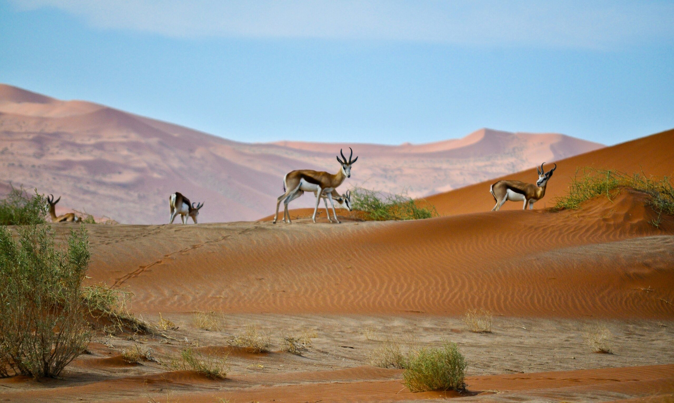 Namibia by Luxe Tribes photo 2