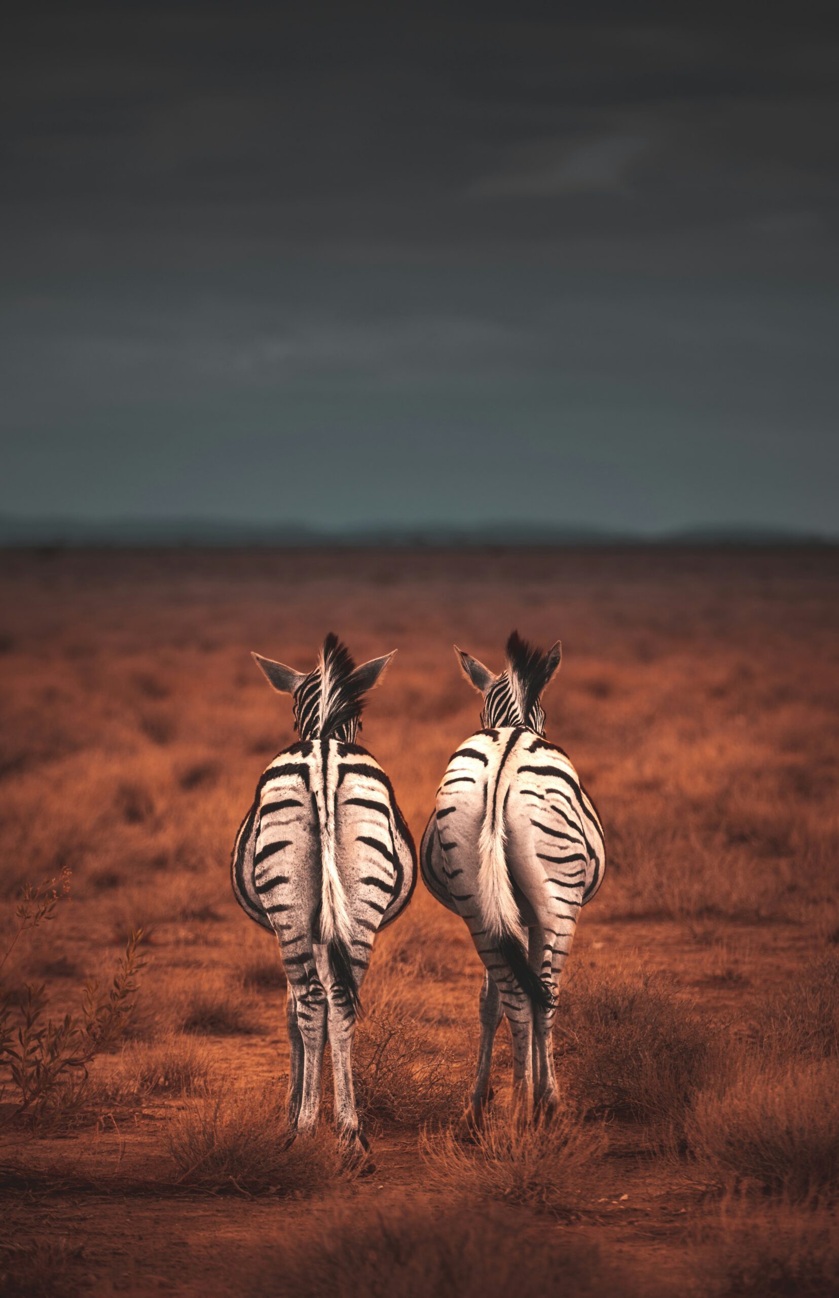 Namibia -photo - 5