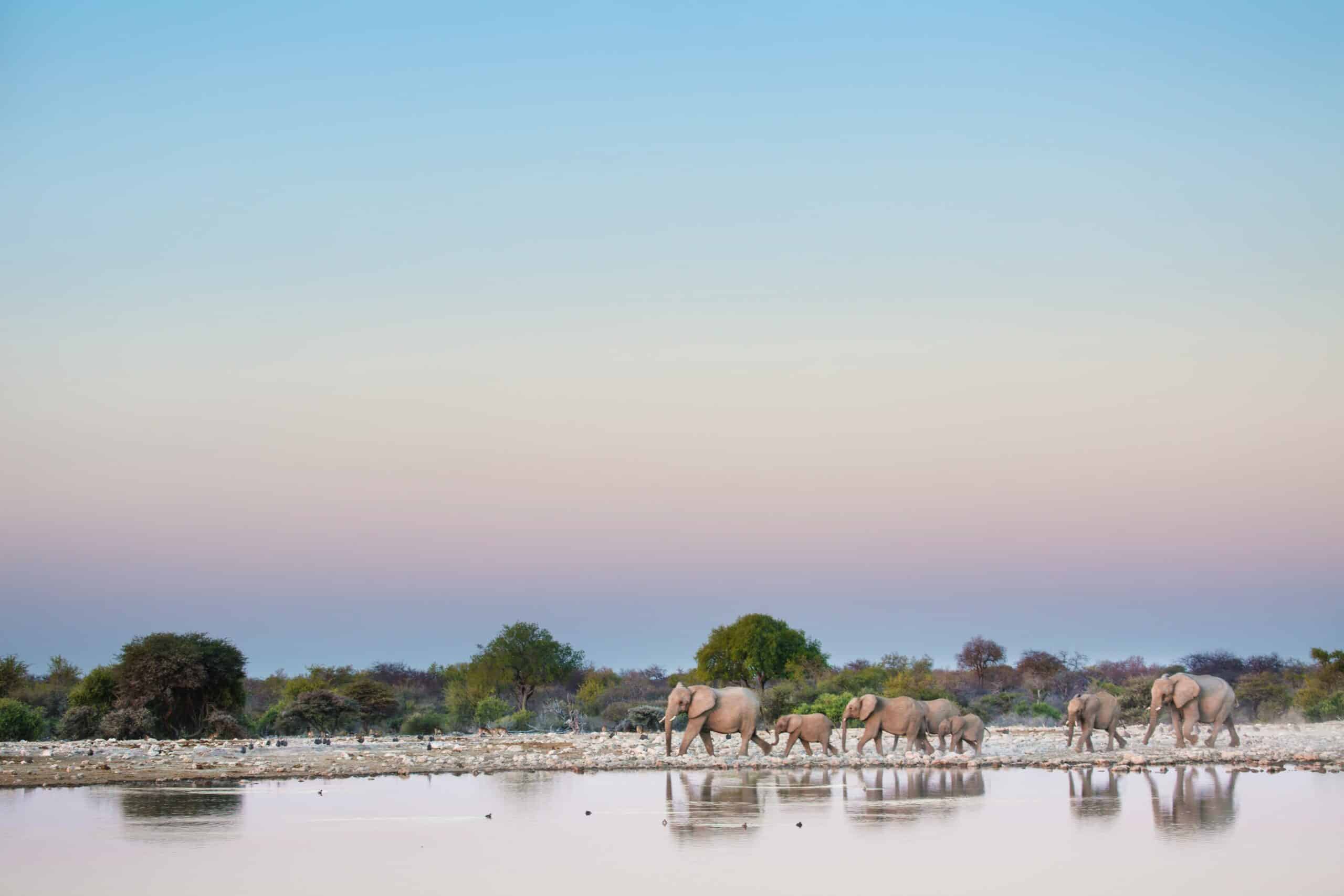 Namibia -photo - 7