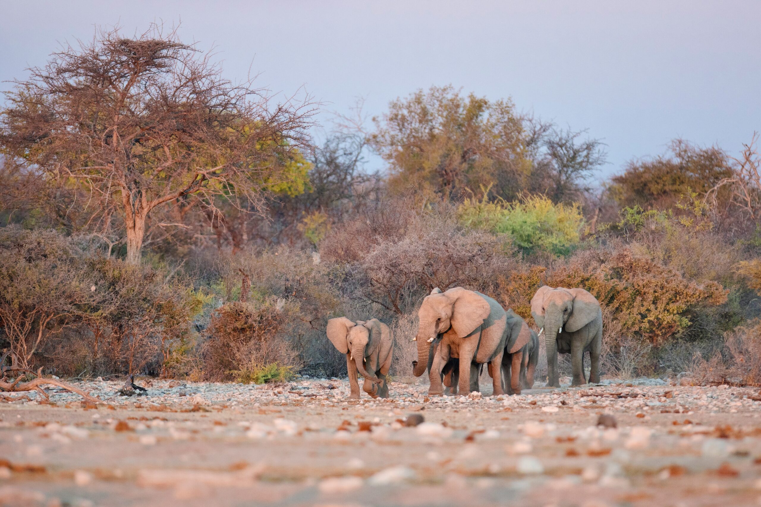 Namibia by Luxe Tribes photo 3