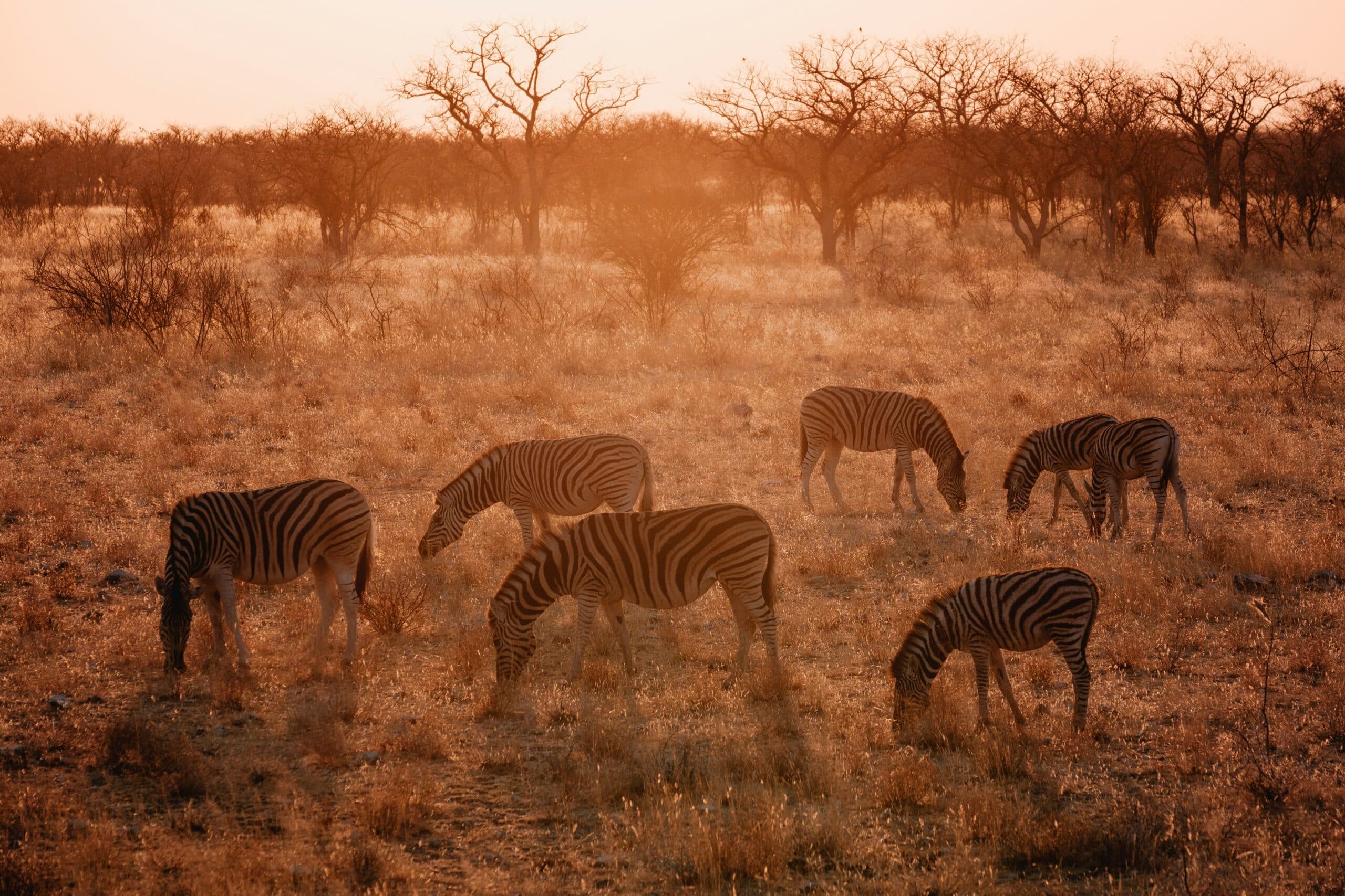 Namibia -photo - 9