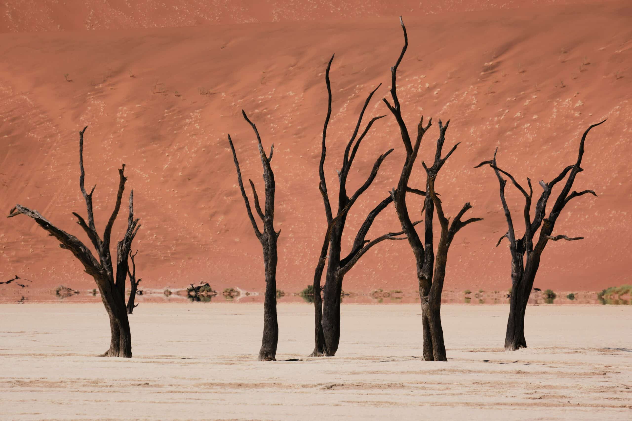 Namibia -photo - 12