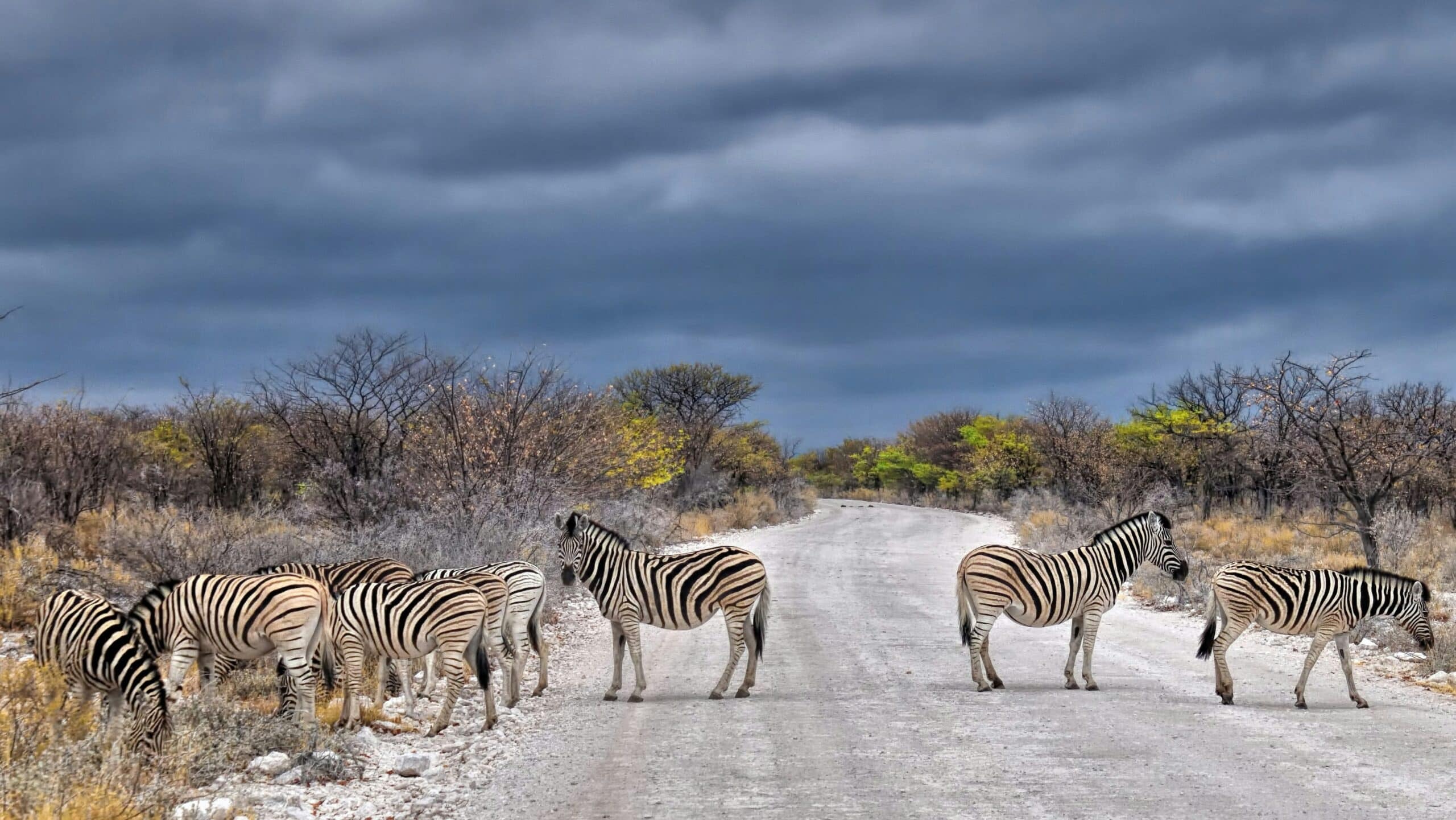 Namibia -photo - 6