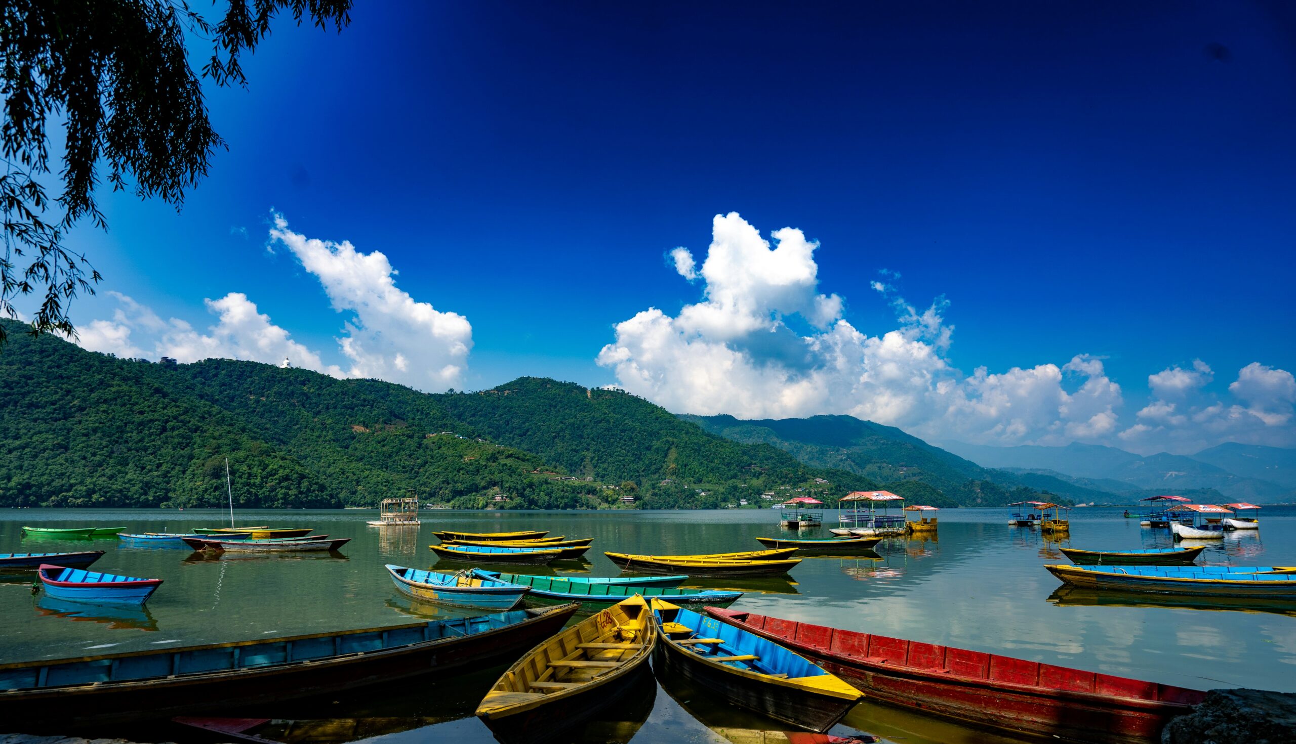 Nepal Wellness Retreat -photo - 9