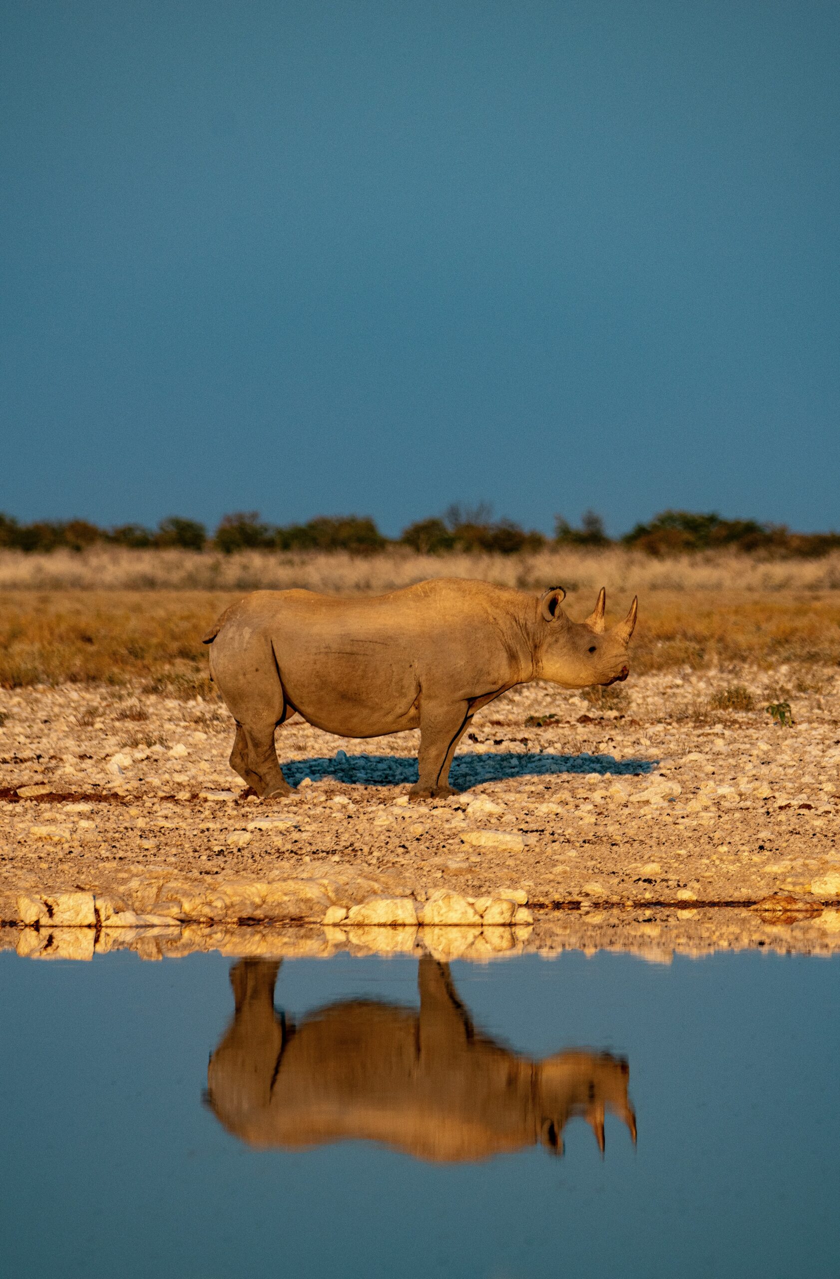 Namibia -photo - 11